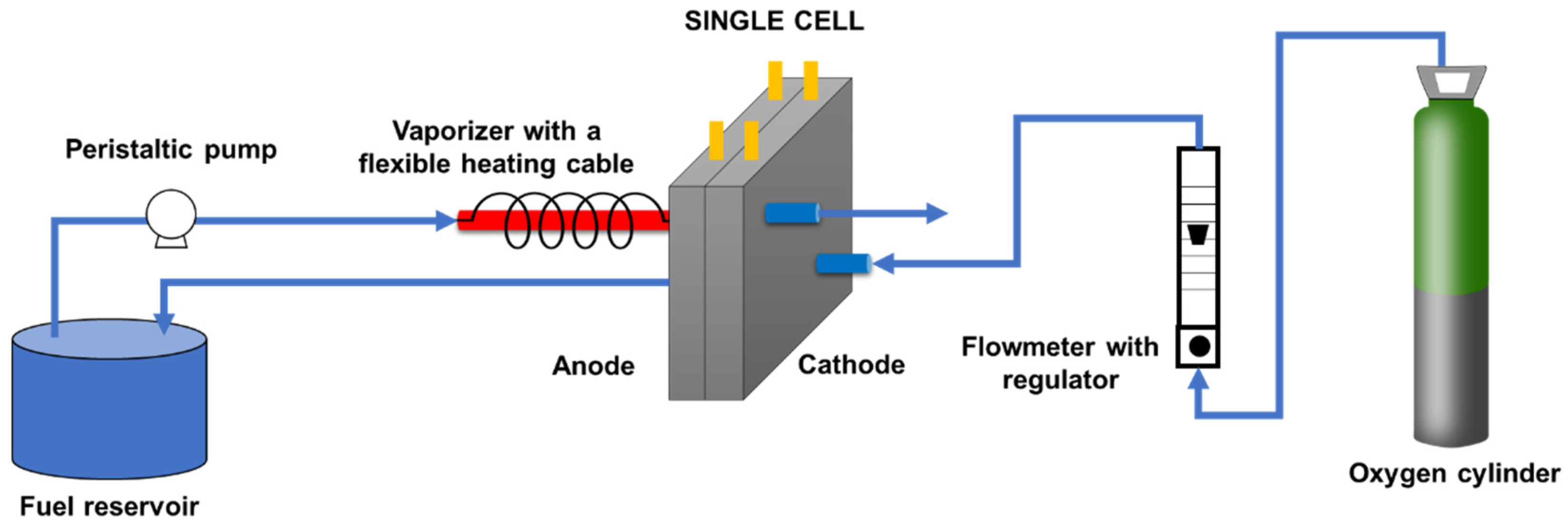 Catalysts 11 01246 g006