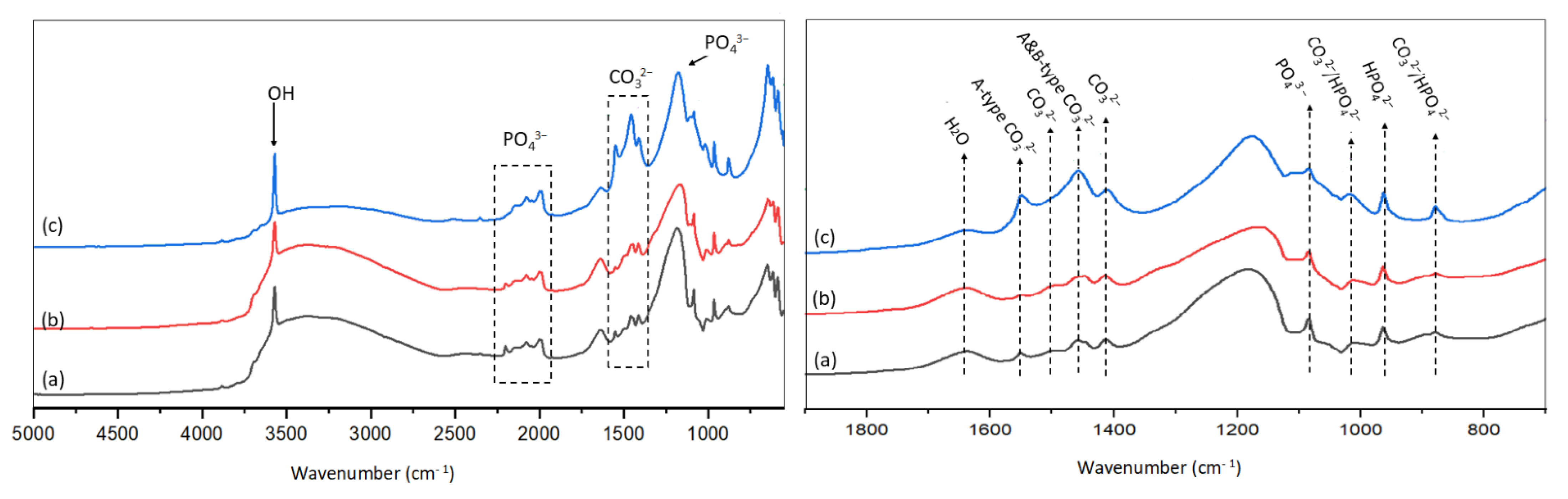 Catalysts 11 01247 g006 550