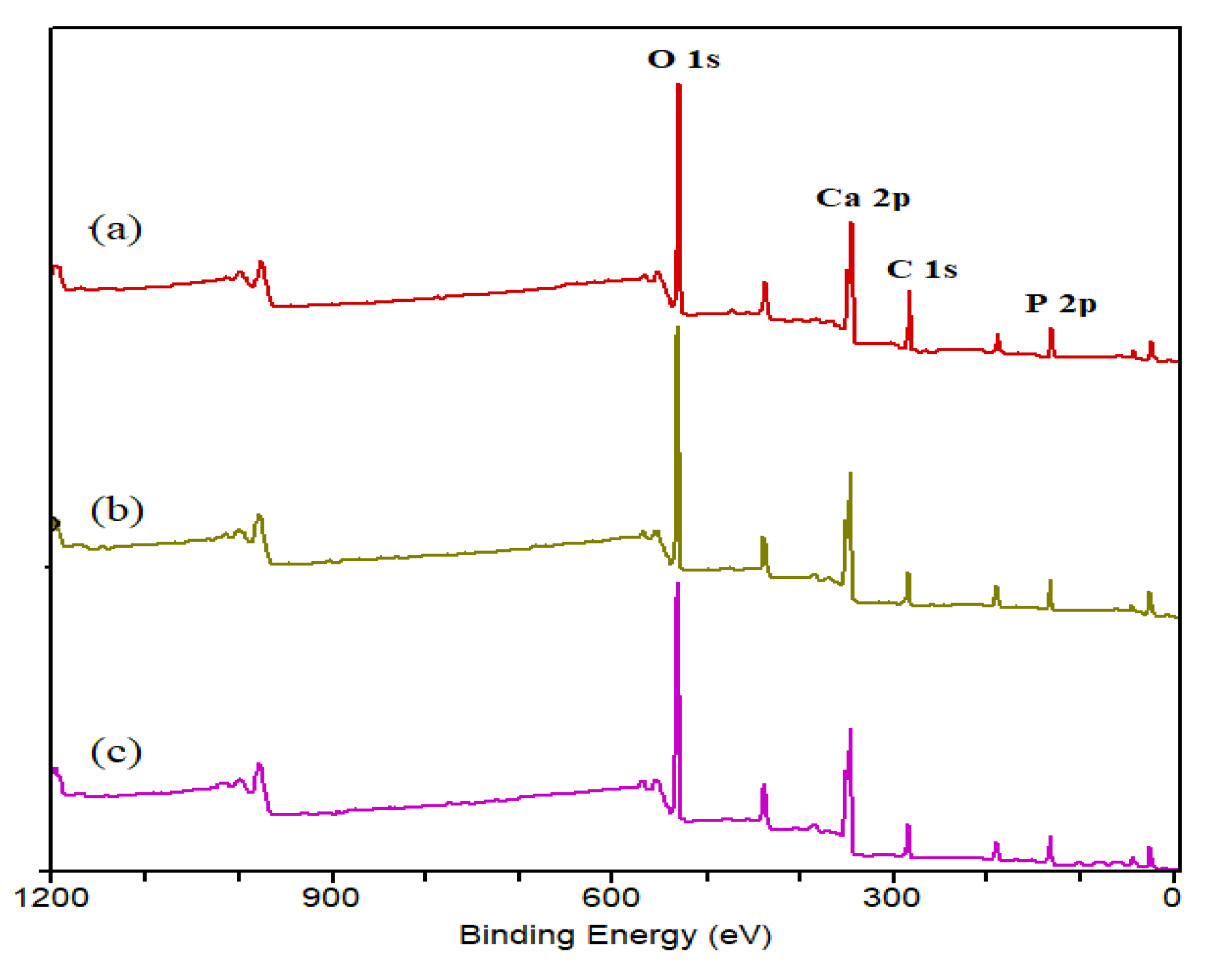 Catalysts 11 01247 g008 550