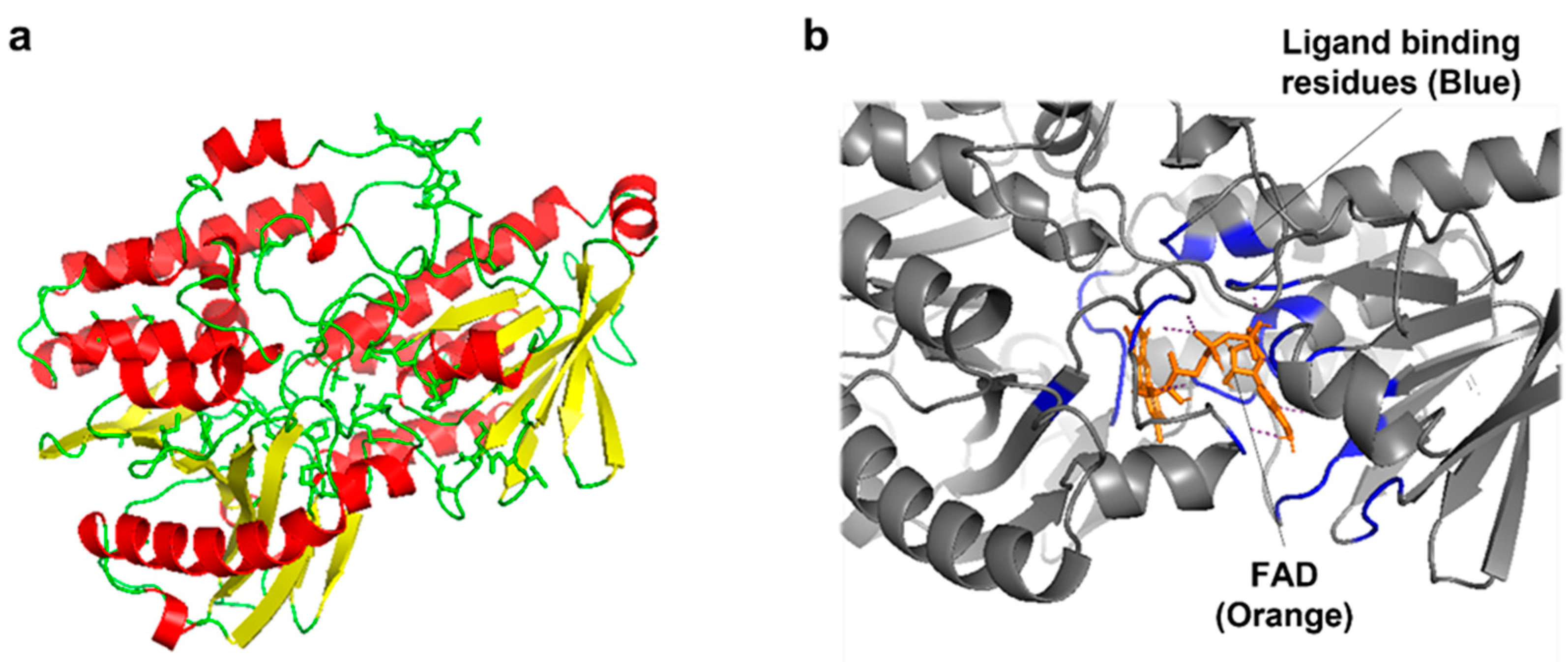 Catalysts 11 01248 g004