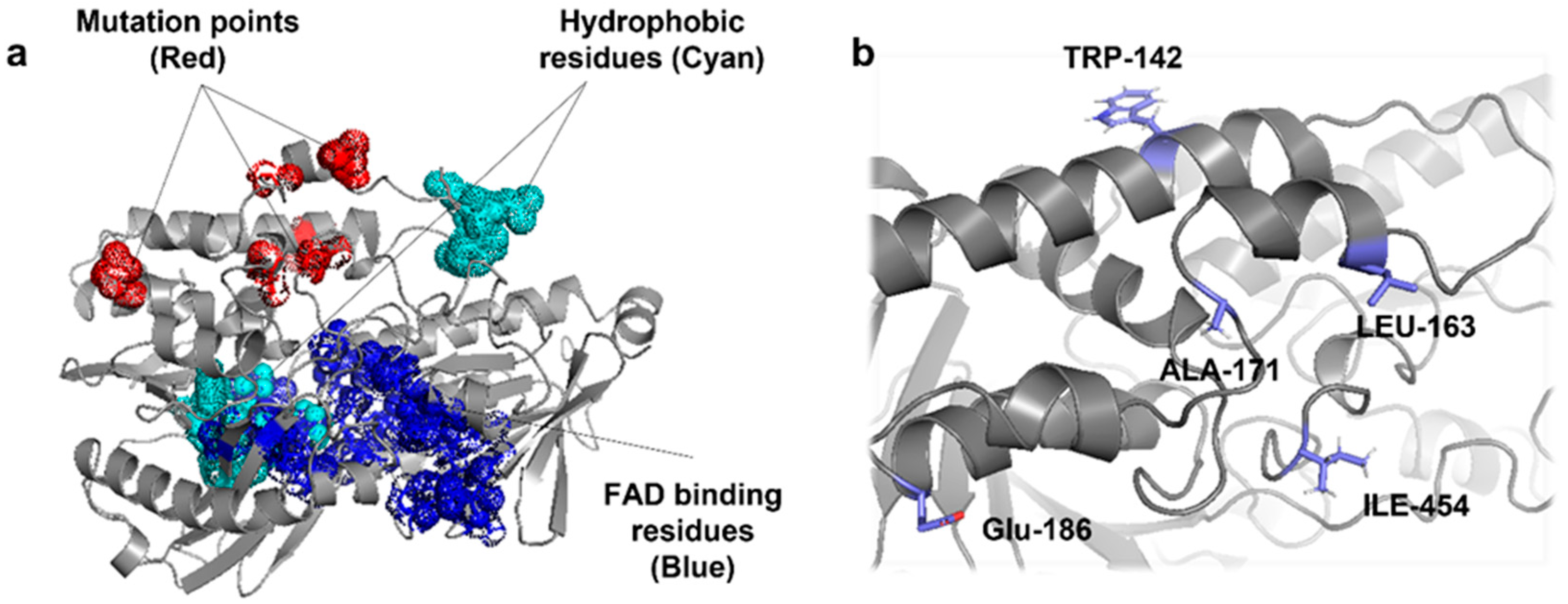 Catalysts 11 01248 g005