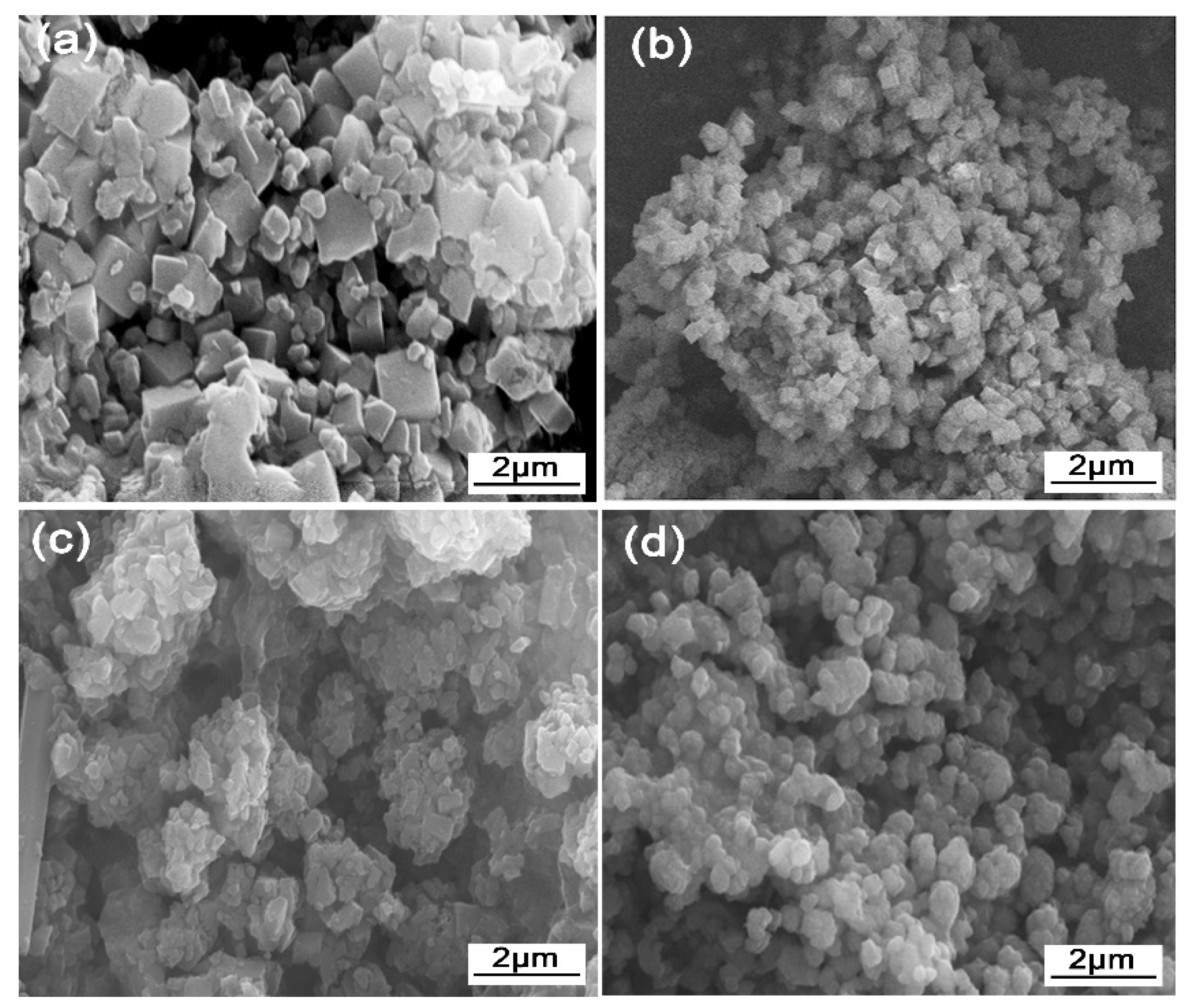 Catalysts 11 01250 g002