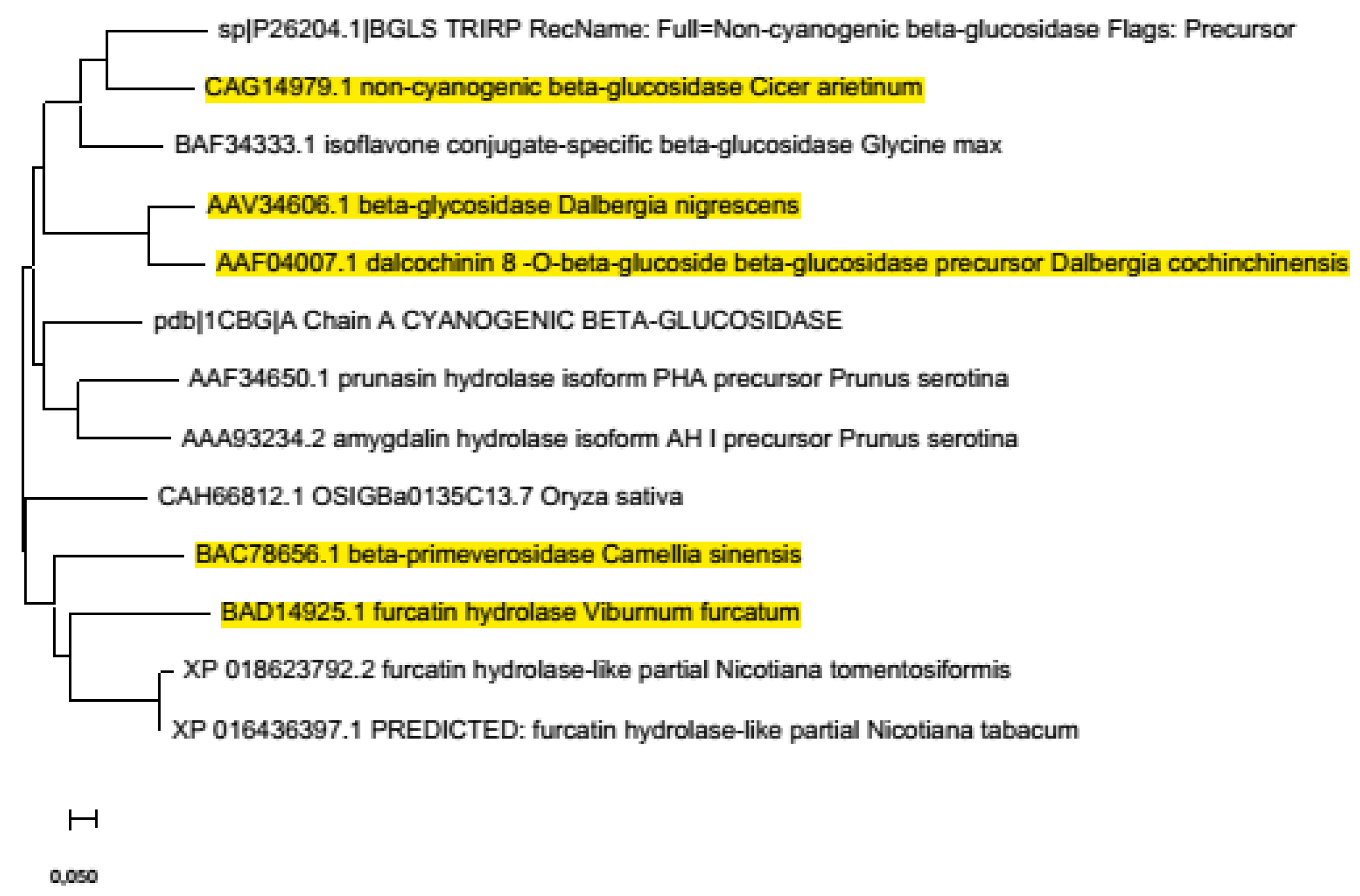 Catalysts 11 01251 g006 Catalysts 11 01251 g006