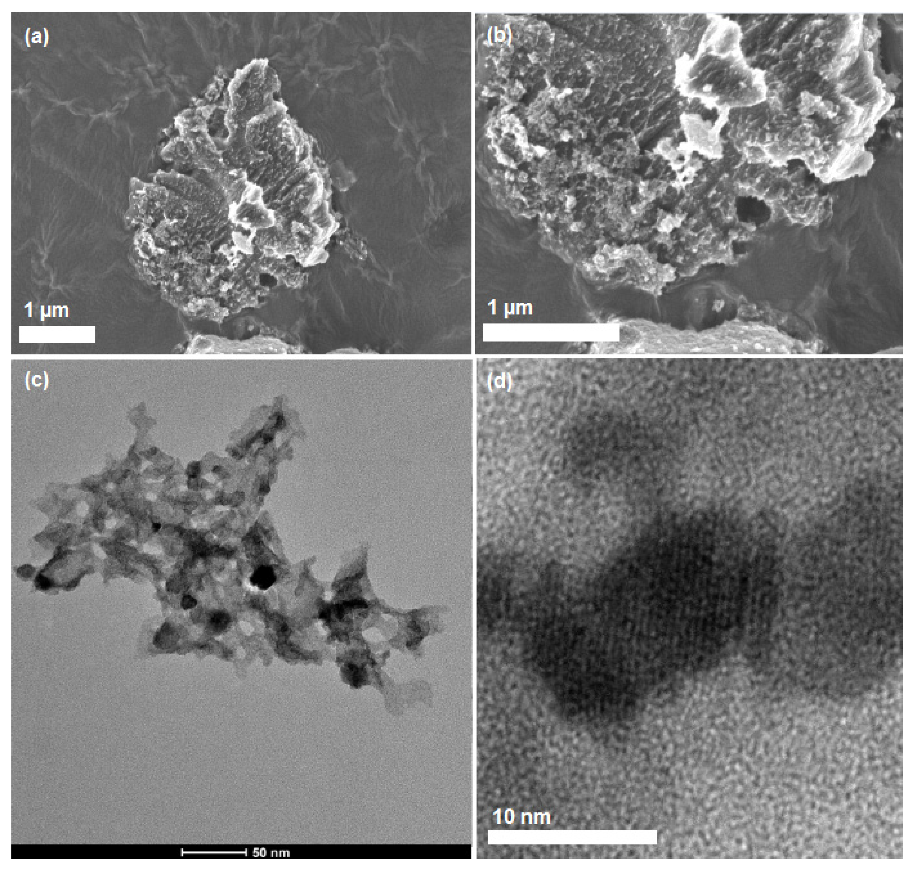 Catalysts 11 01253 g001 550