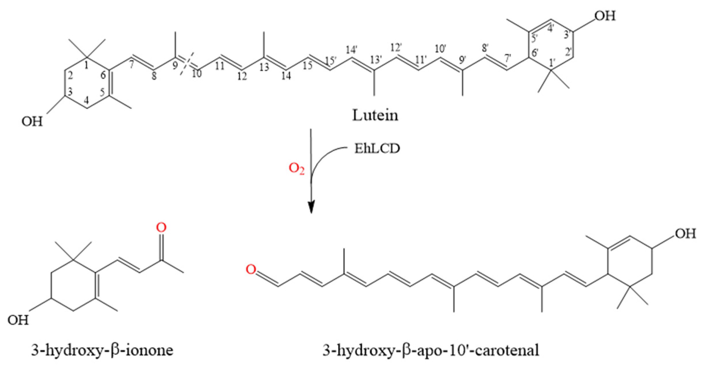 Catalysts 11 01257 g003