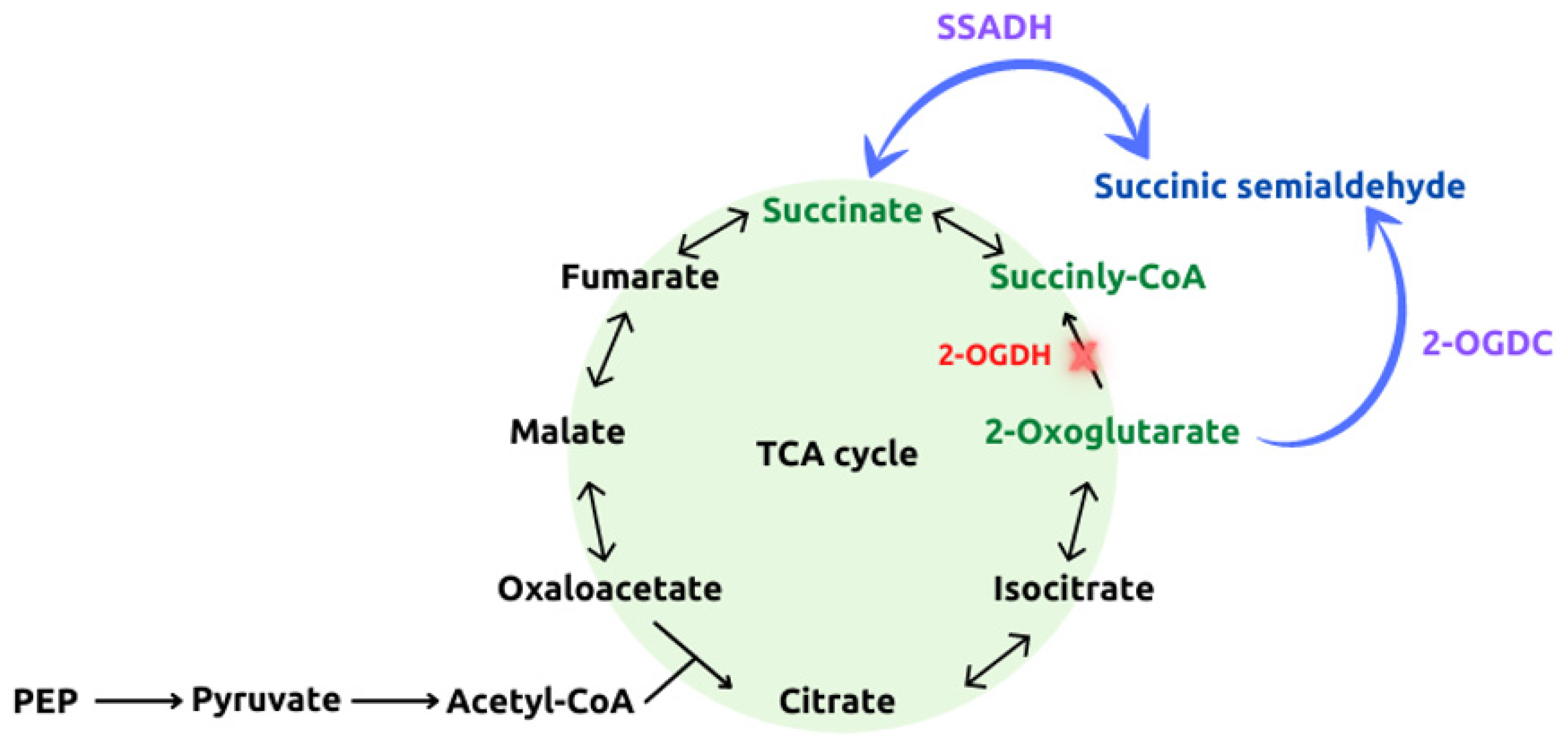 Catalysts 11 01259 sch001 Catalysts 11 01259 sch001