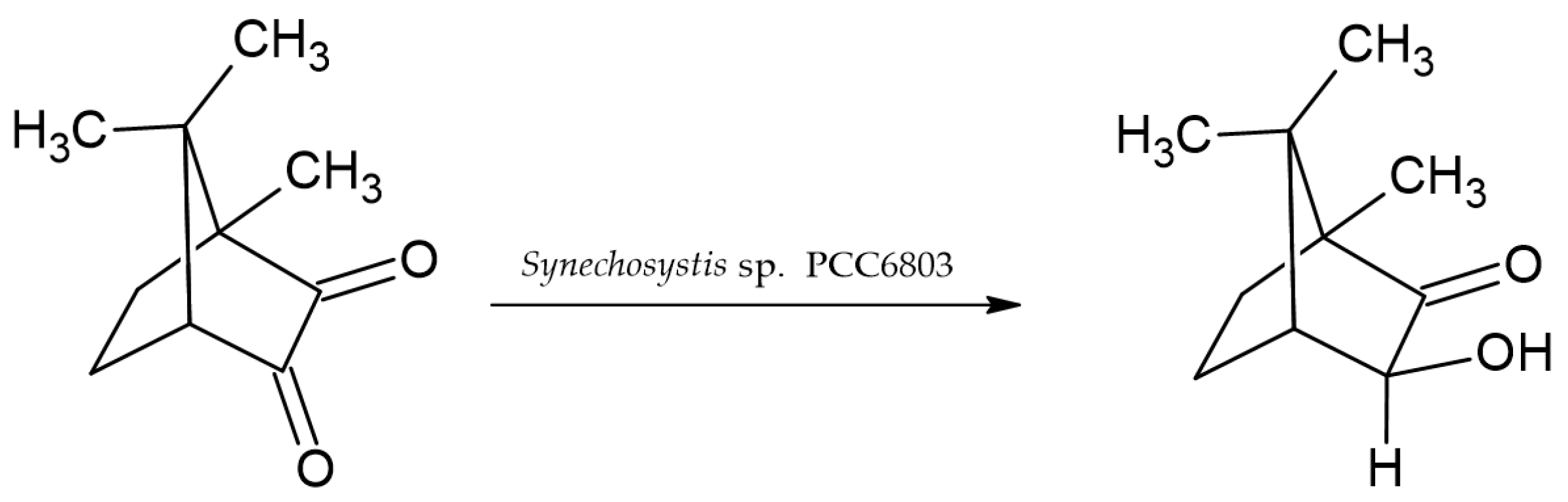 Catalysts 11 01259 sch004 Catalysts 11 01259 sch004