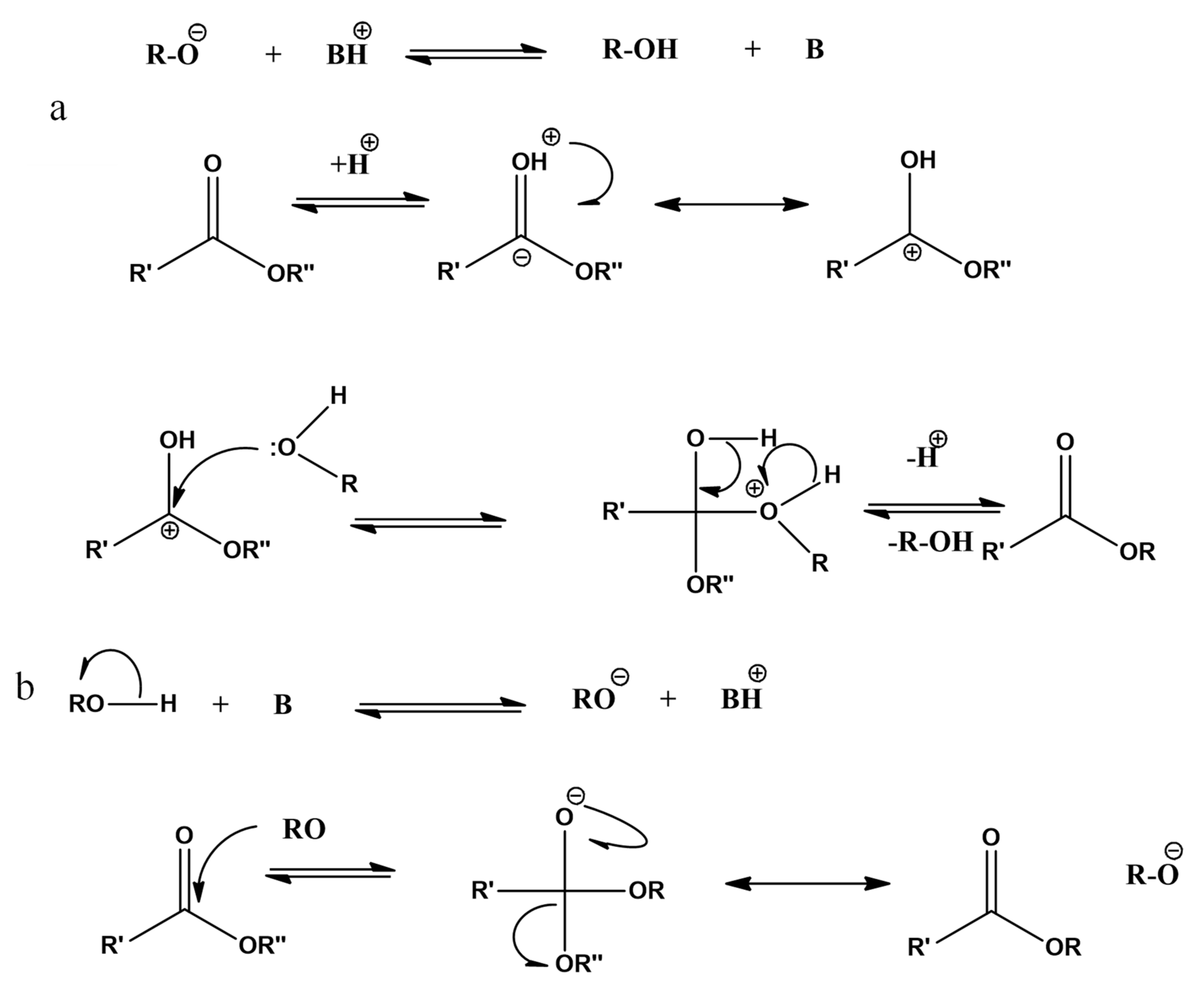 Catalysts 11 01261 g002