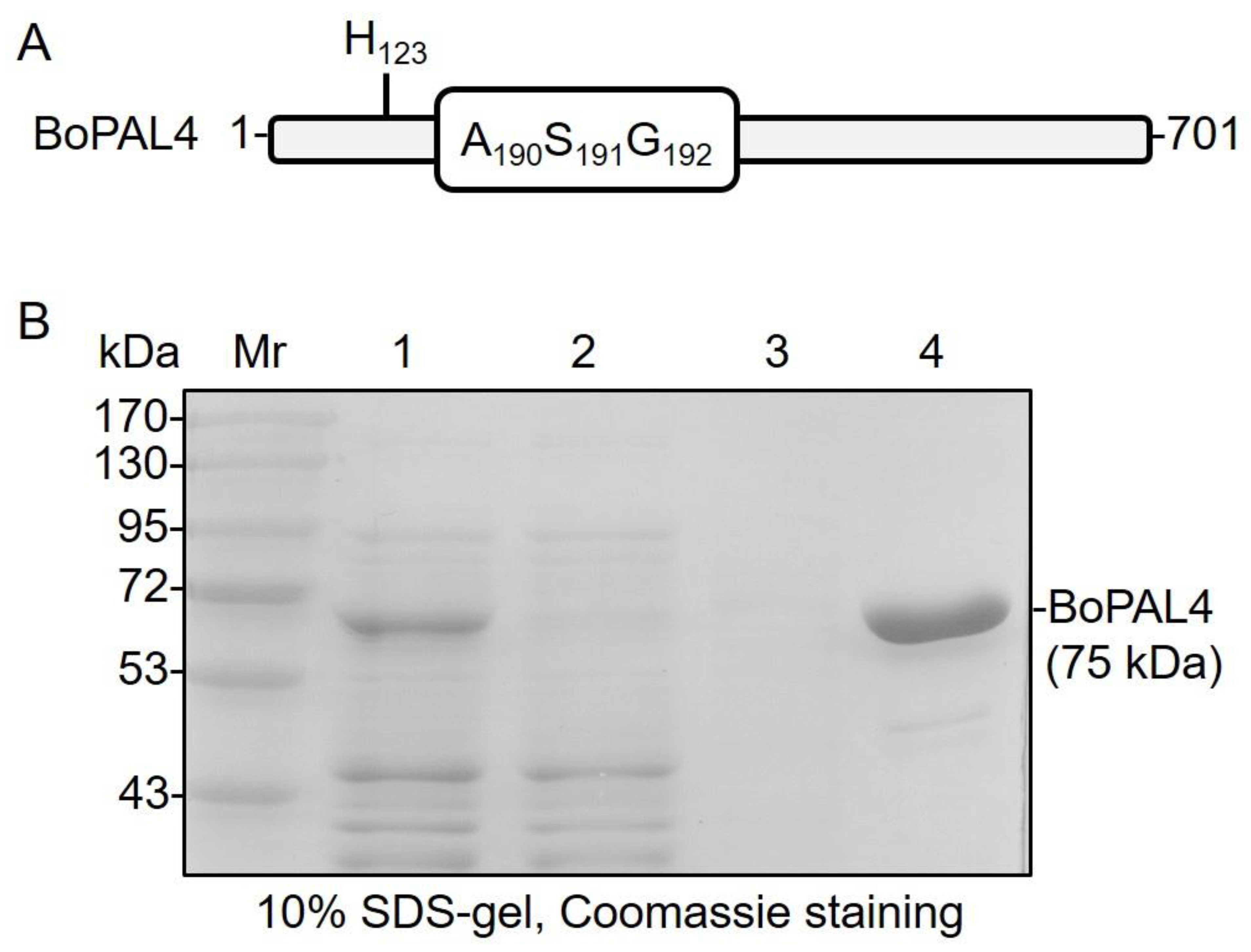 Catalysts 11 01263 g001
