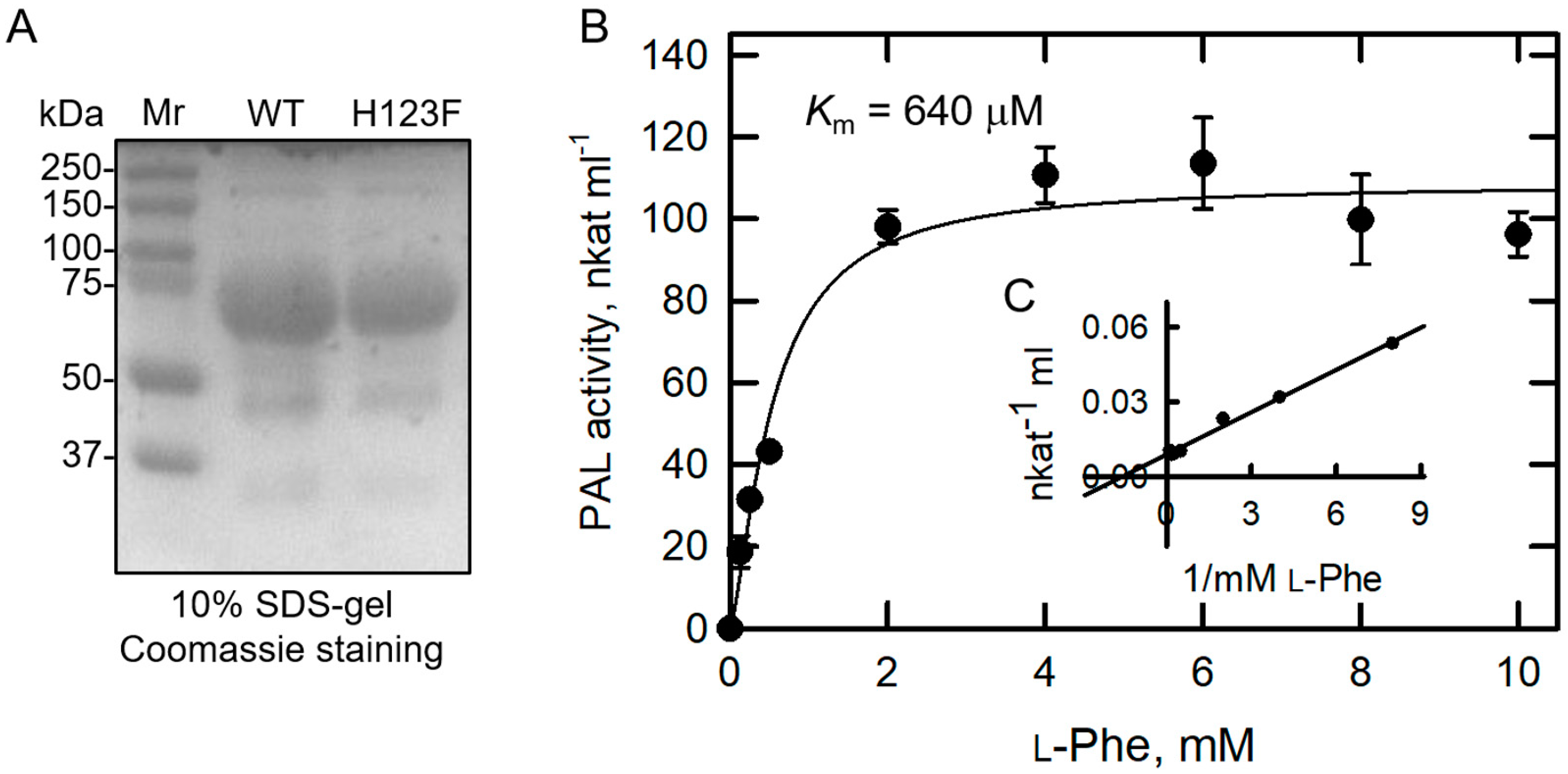 Catalysts 11 01263 g004
