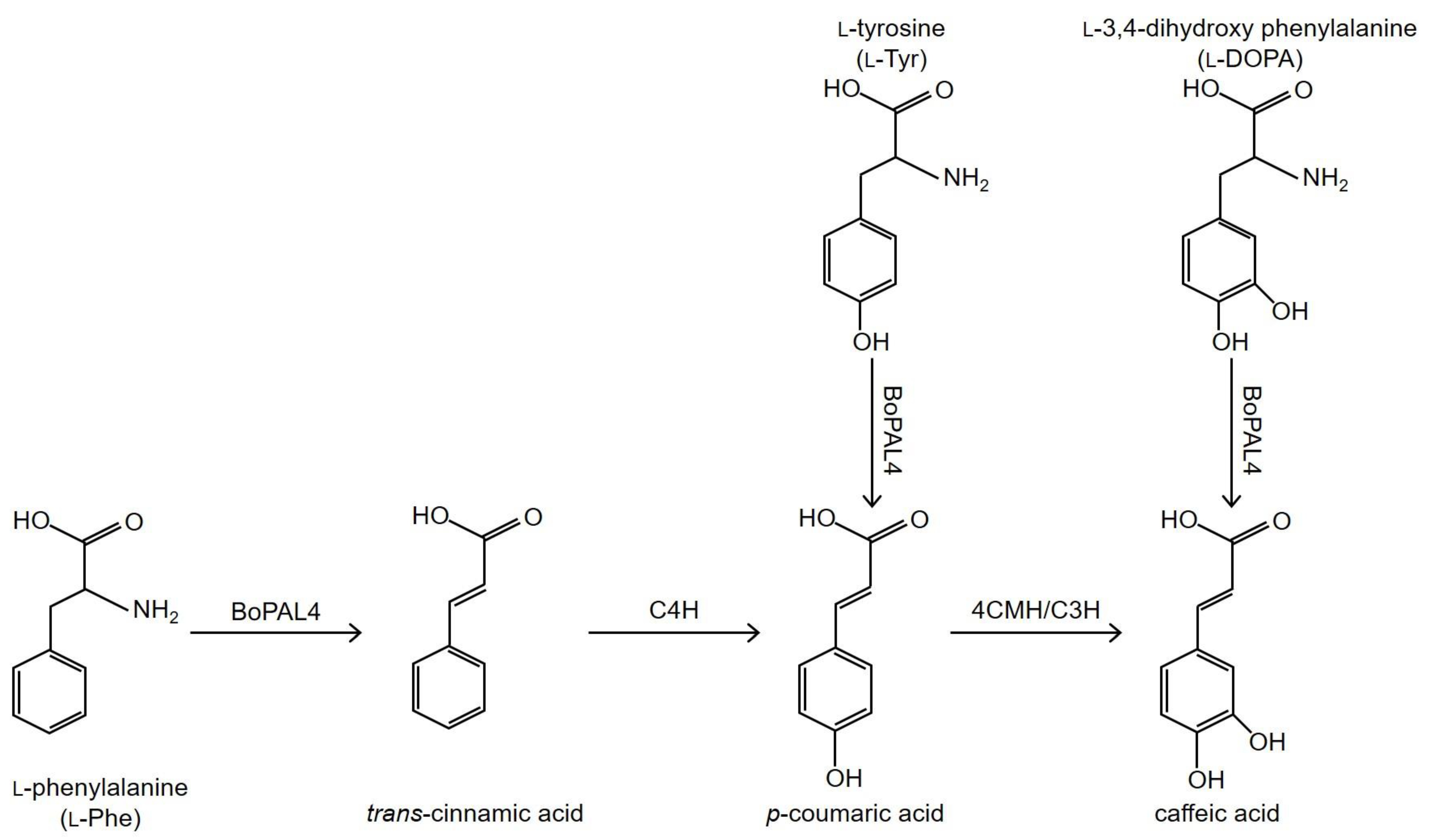 Catalysts 11 01263 sch001