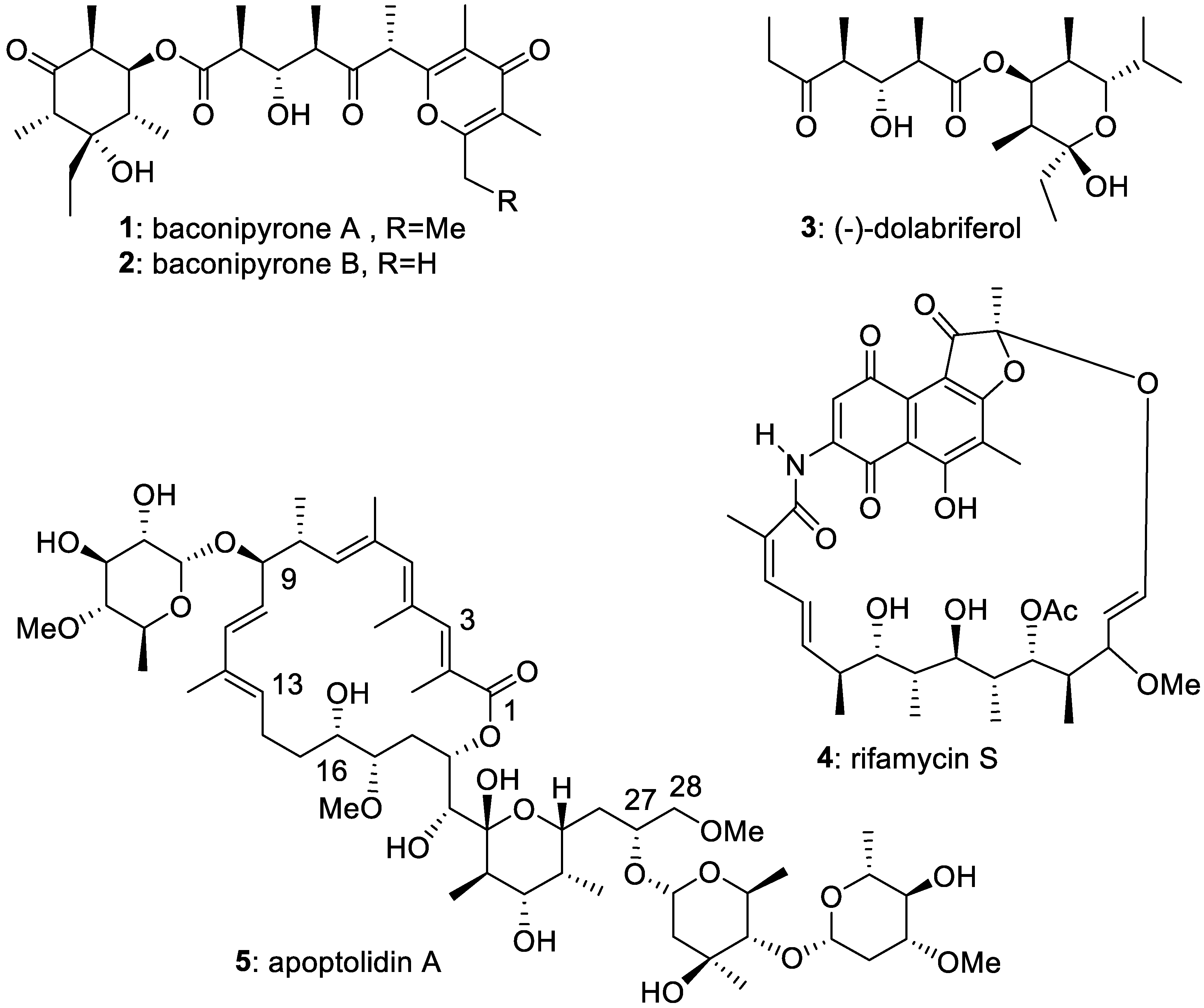 Catalysts 11 01267 g001