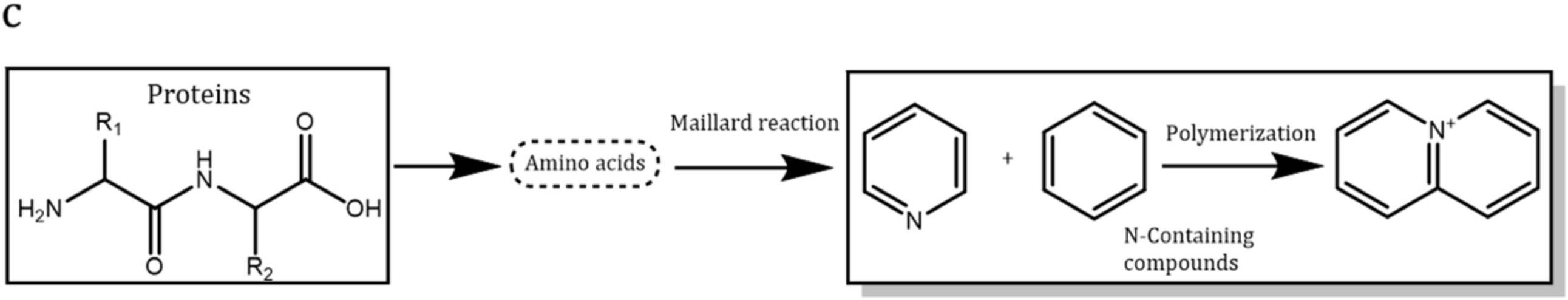 Catalysts 11 01275 g001b