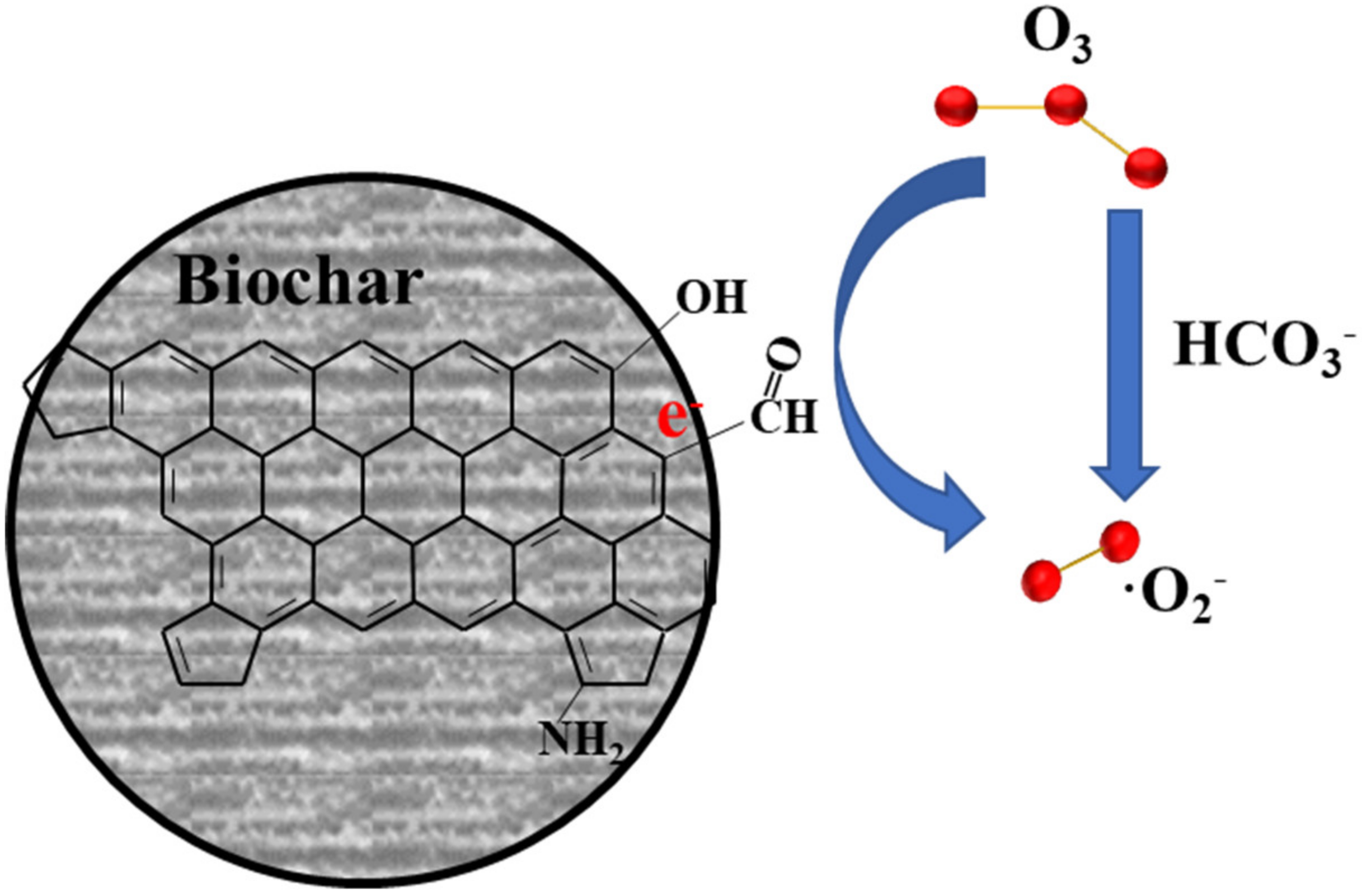 Catalysts 11 01275 g006