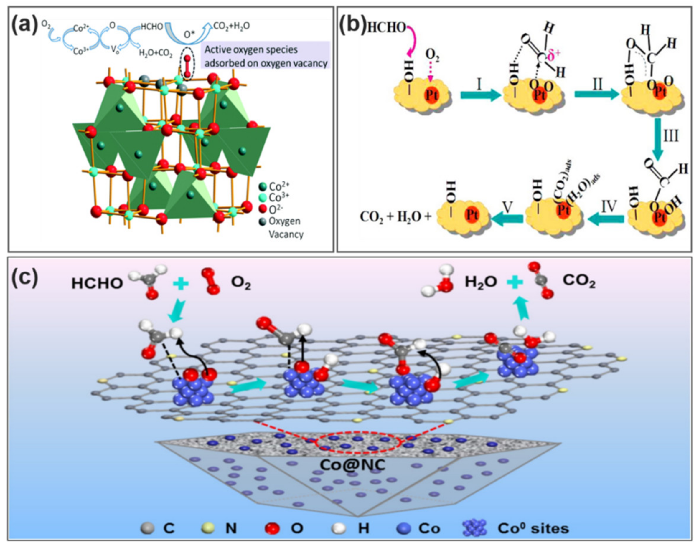 Catalysts 11 01276 g007