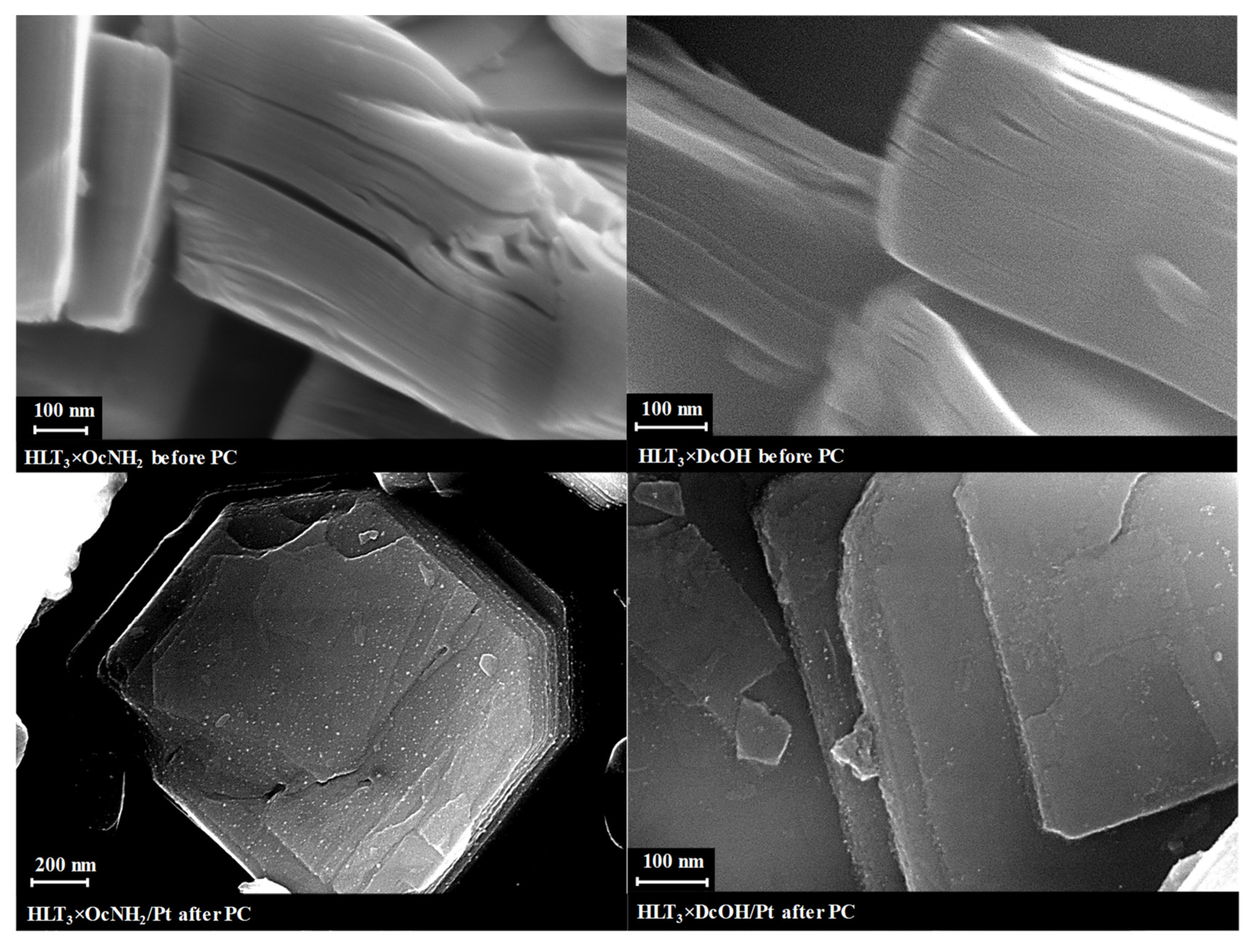 Catalysts 11 01279 g008