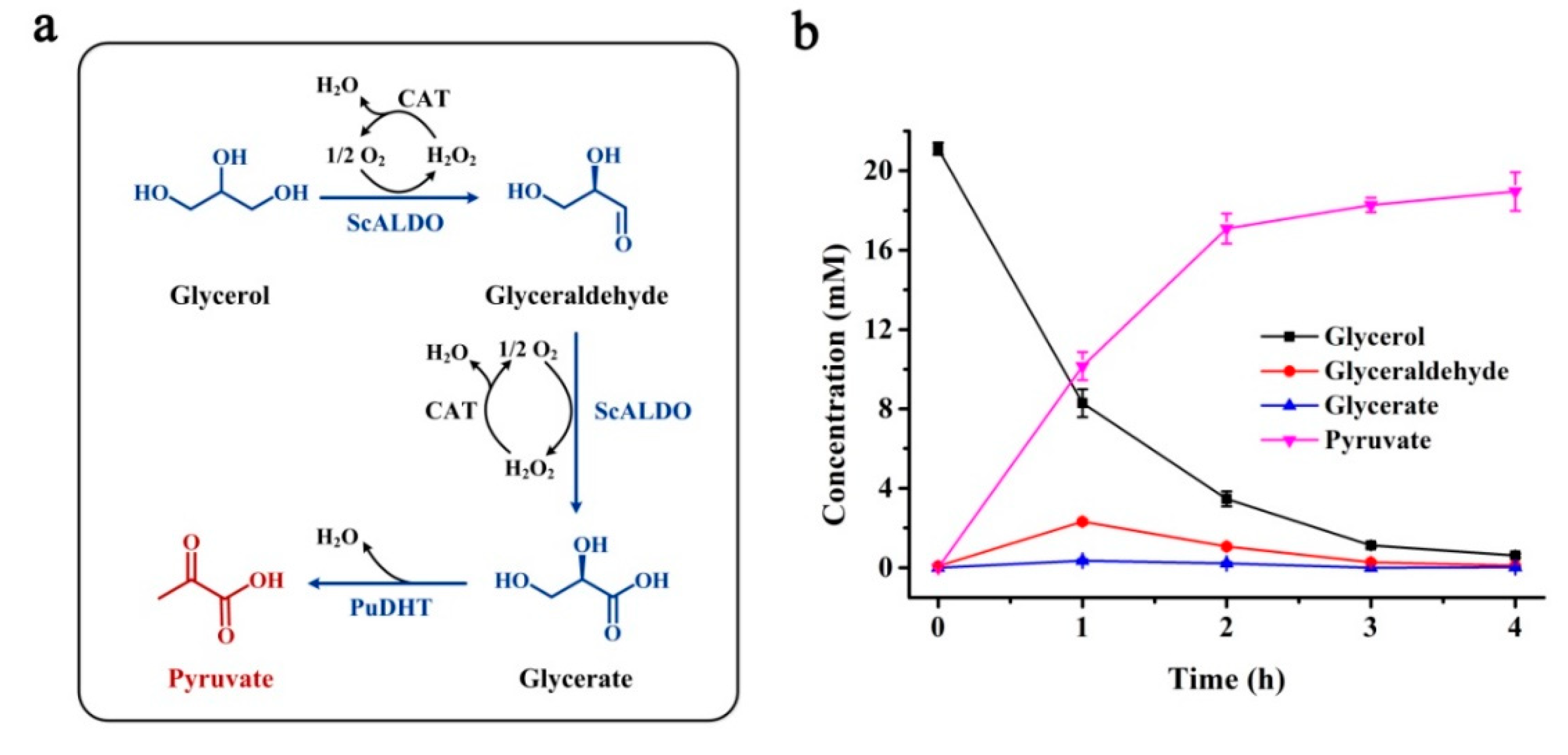 Catalysts 11 01282 g003 Catalysts 11 01282 g003