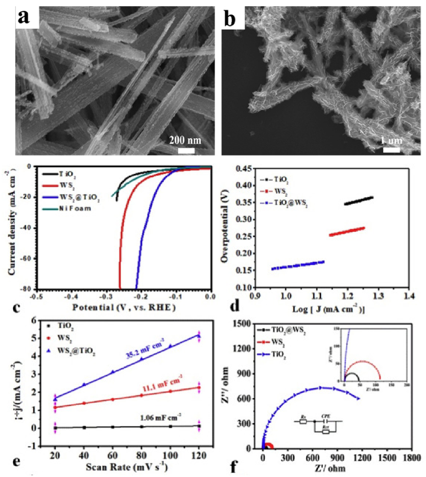Catalysts 11 01283 g006