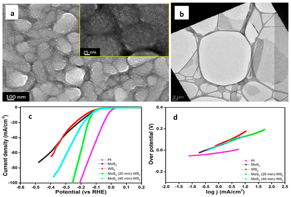 Catalysts 11 01283 g008