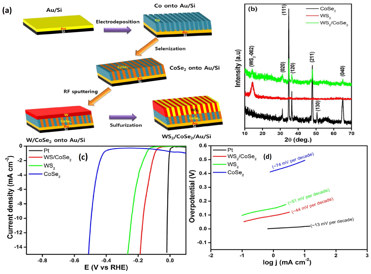 Catalysts 11 01283 g009