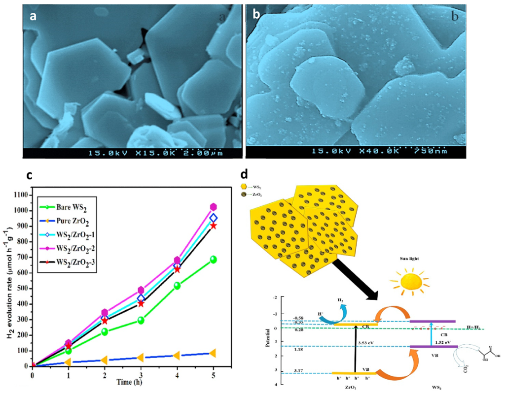 Catalysts 11 01283 g016