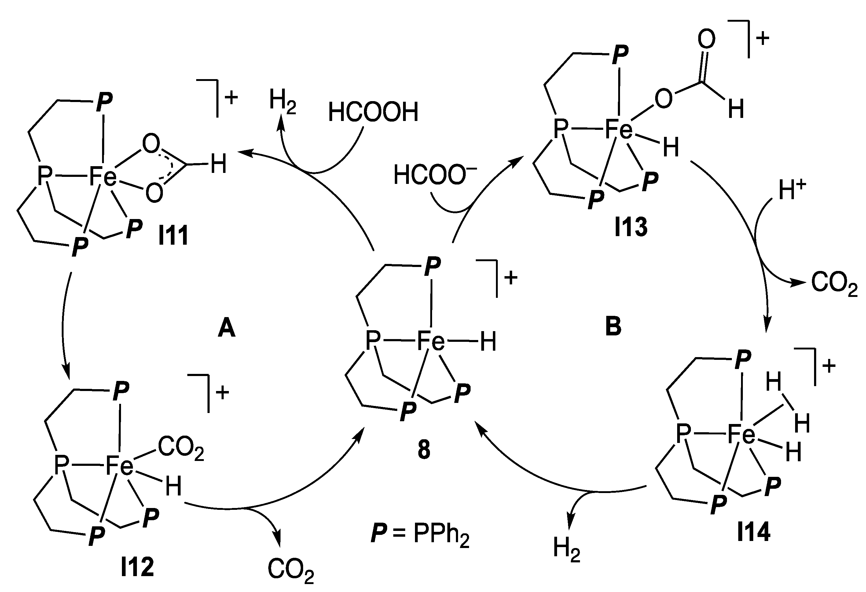 Catalysts 11 01288 sch005
