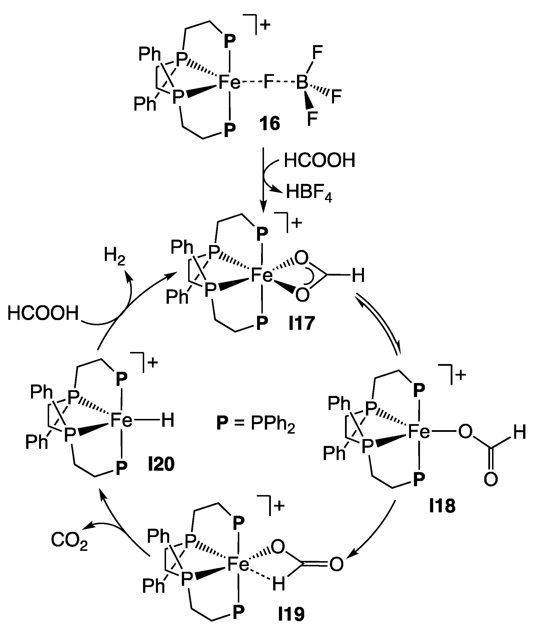 Catalysts 11 01288 sch008
