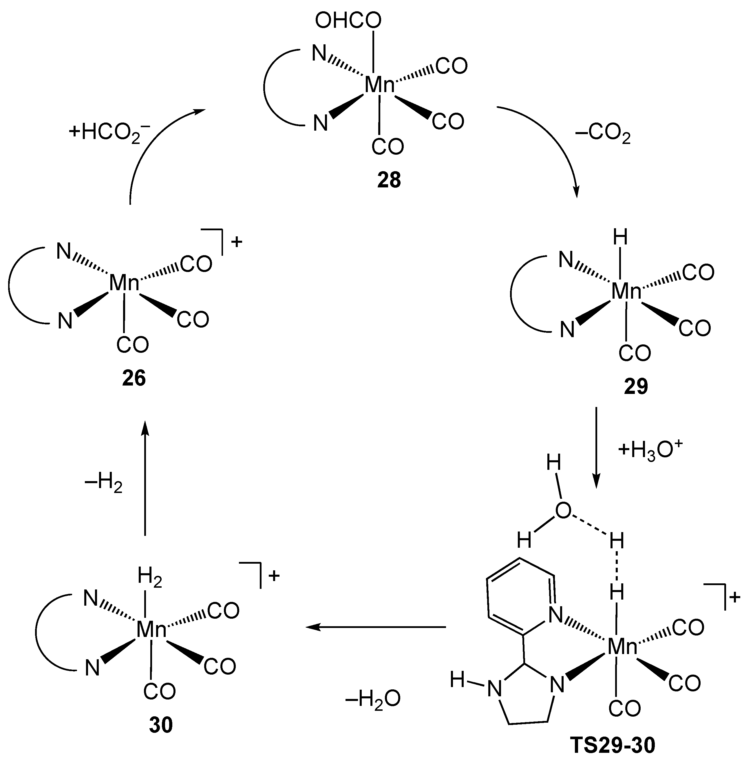 Catalysts 11 01288 sch012