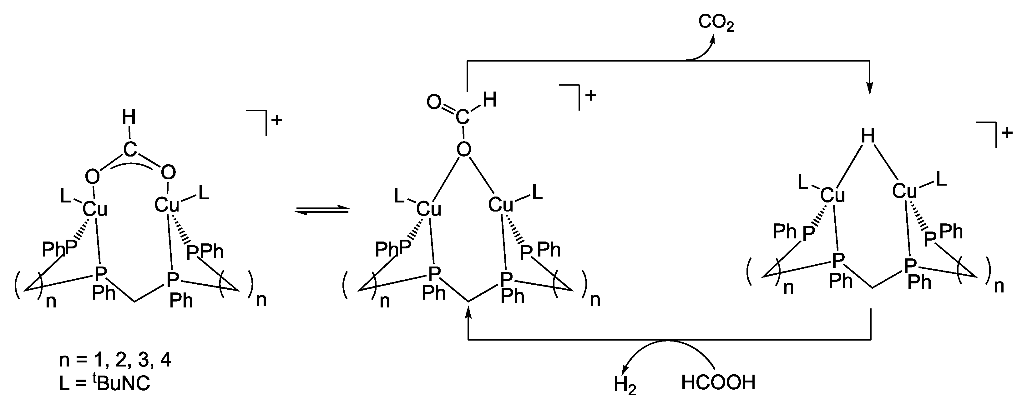 Catalysts 11 01288 sch016