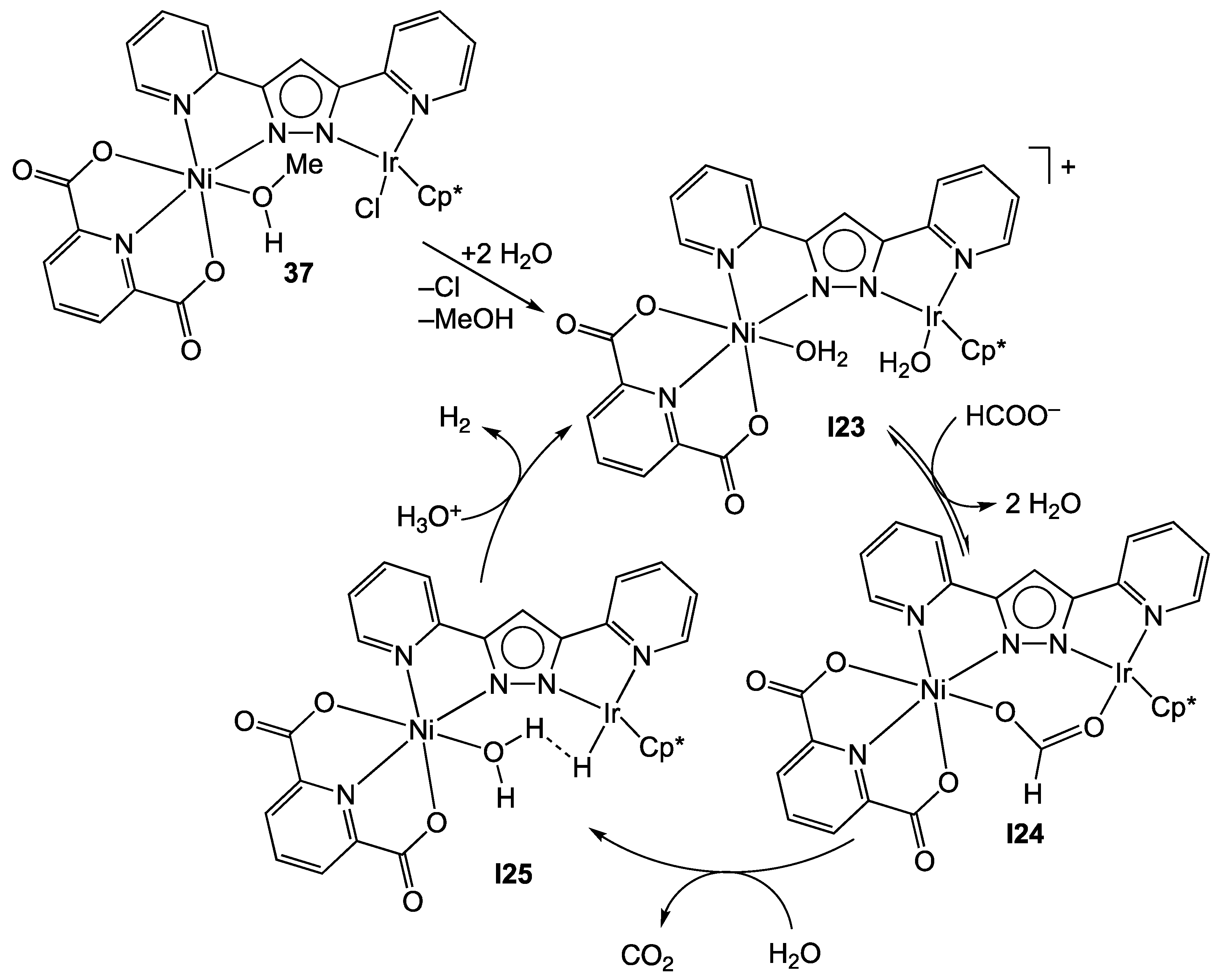 Catalysts 11 01288 sch019