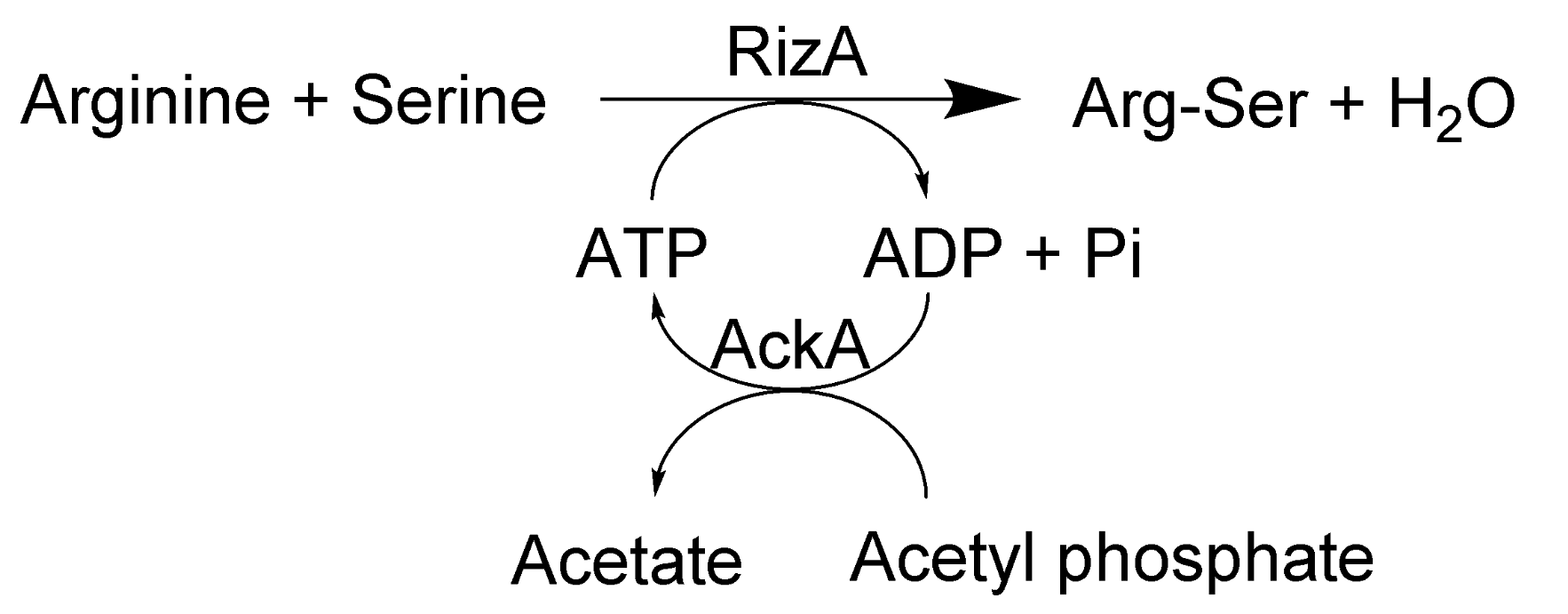 Catalysts 11 01290 g001