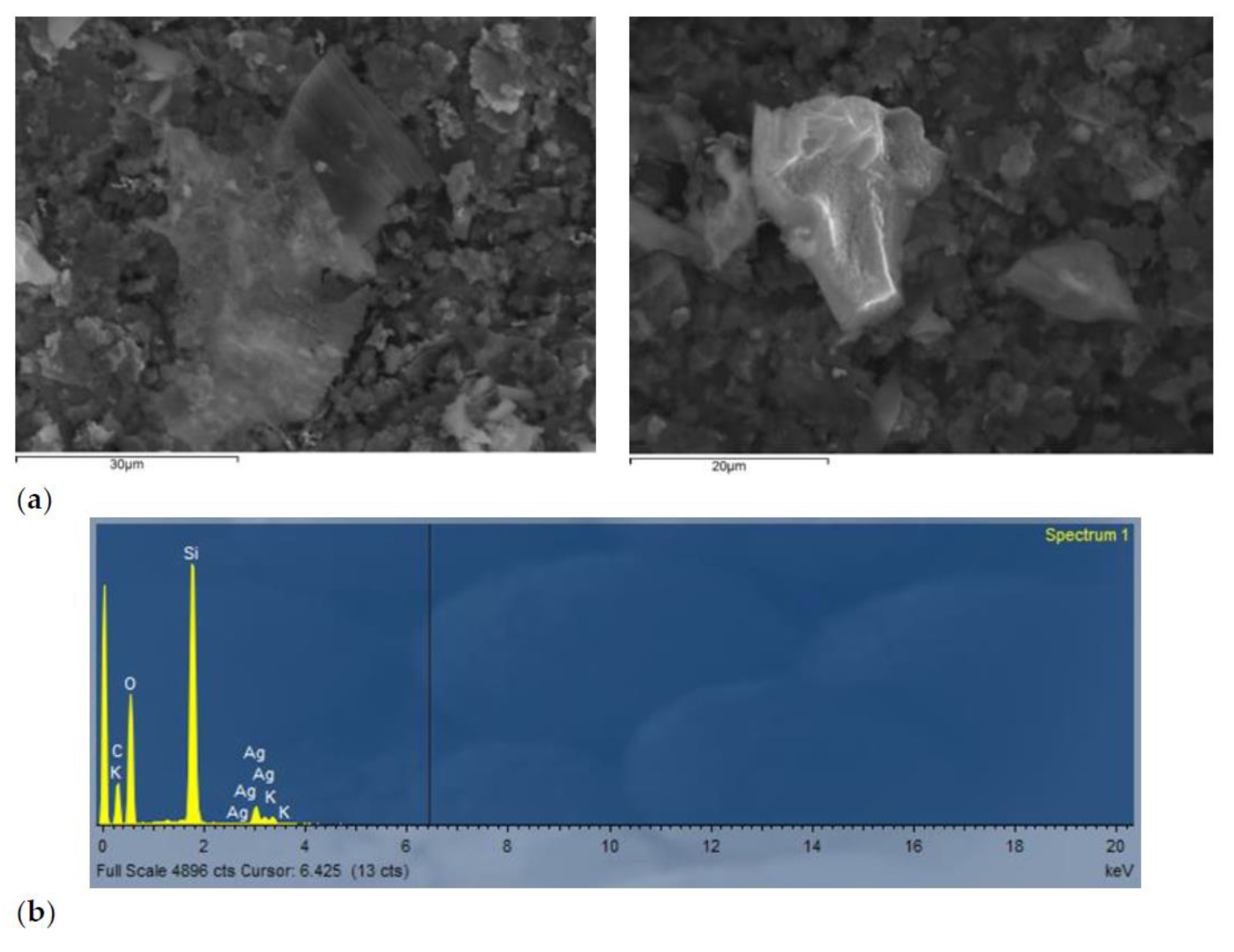 Catalysts 11 01303 g001
