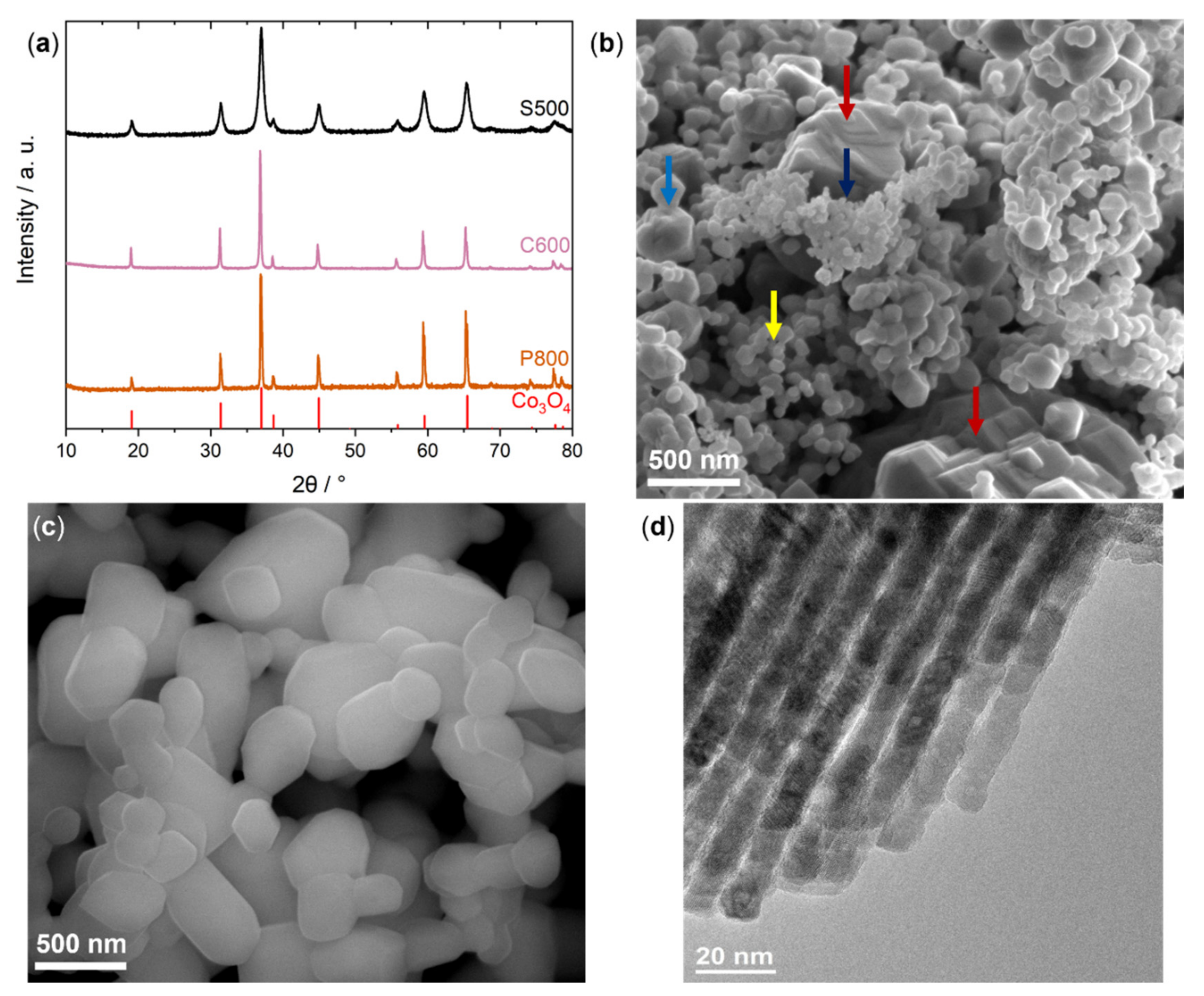 Catalysts 11 01312 g001