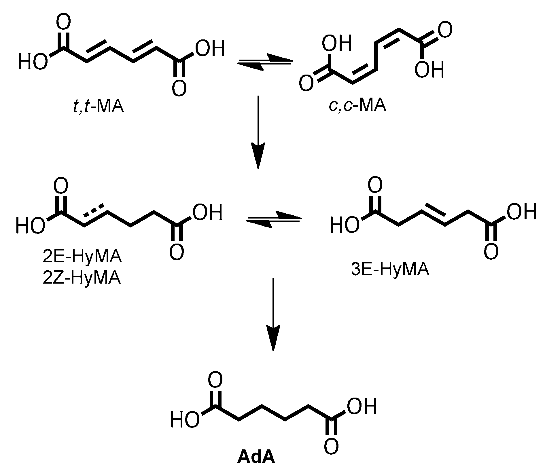 Catalysts 11 01313 g006