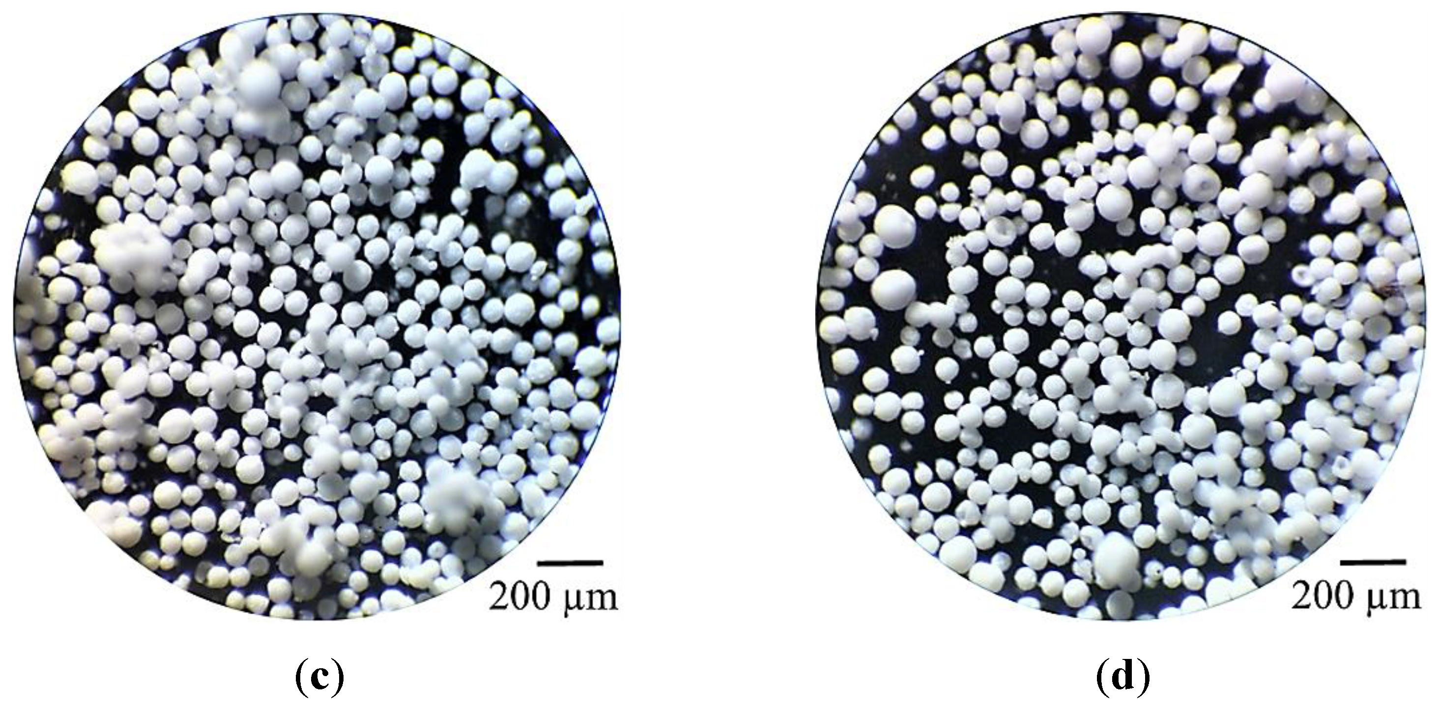 Catalysts 11 01320 g005b