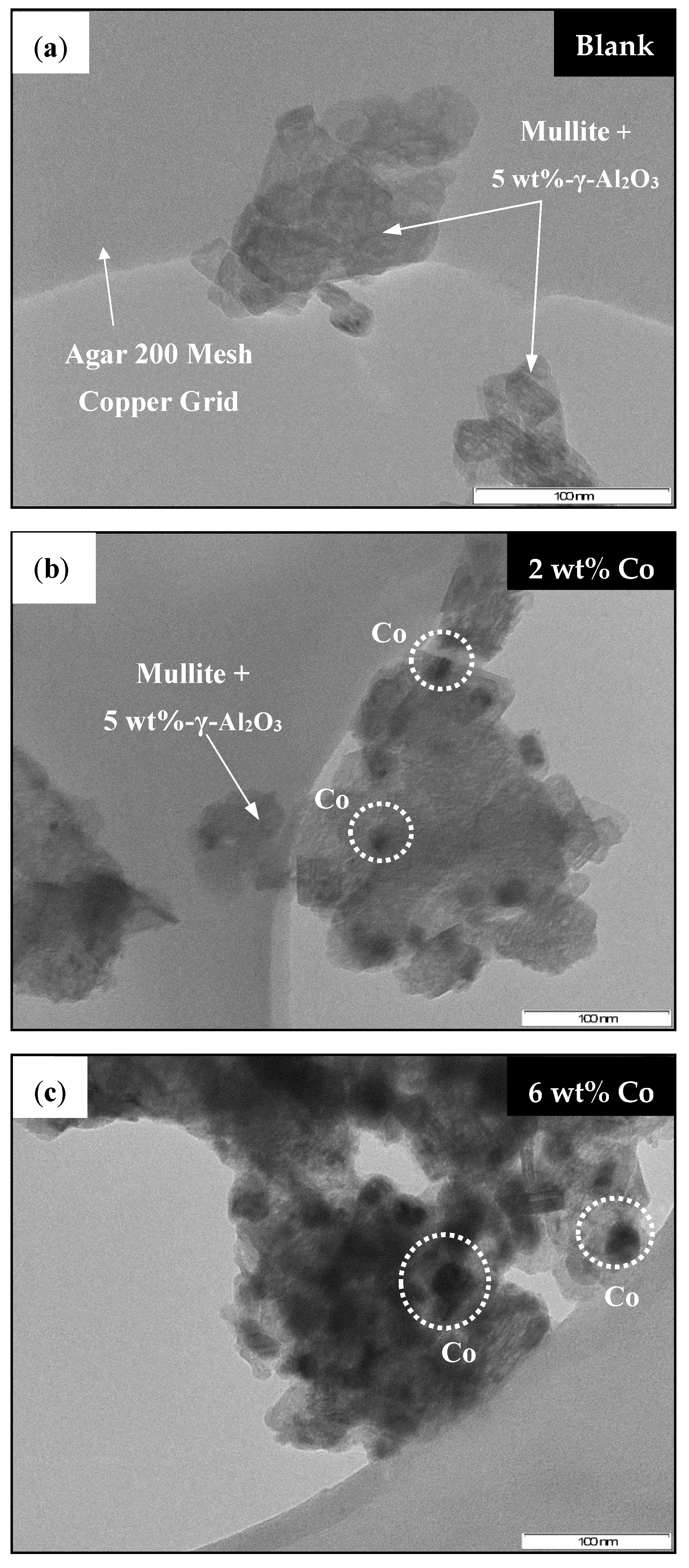Catalysts 11 01324 g021 550