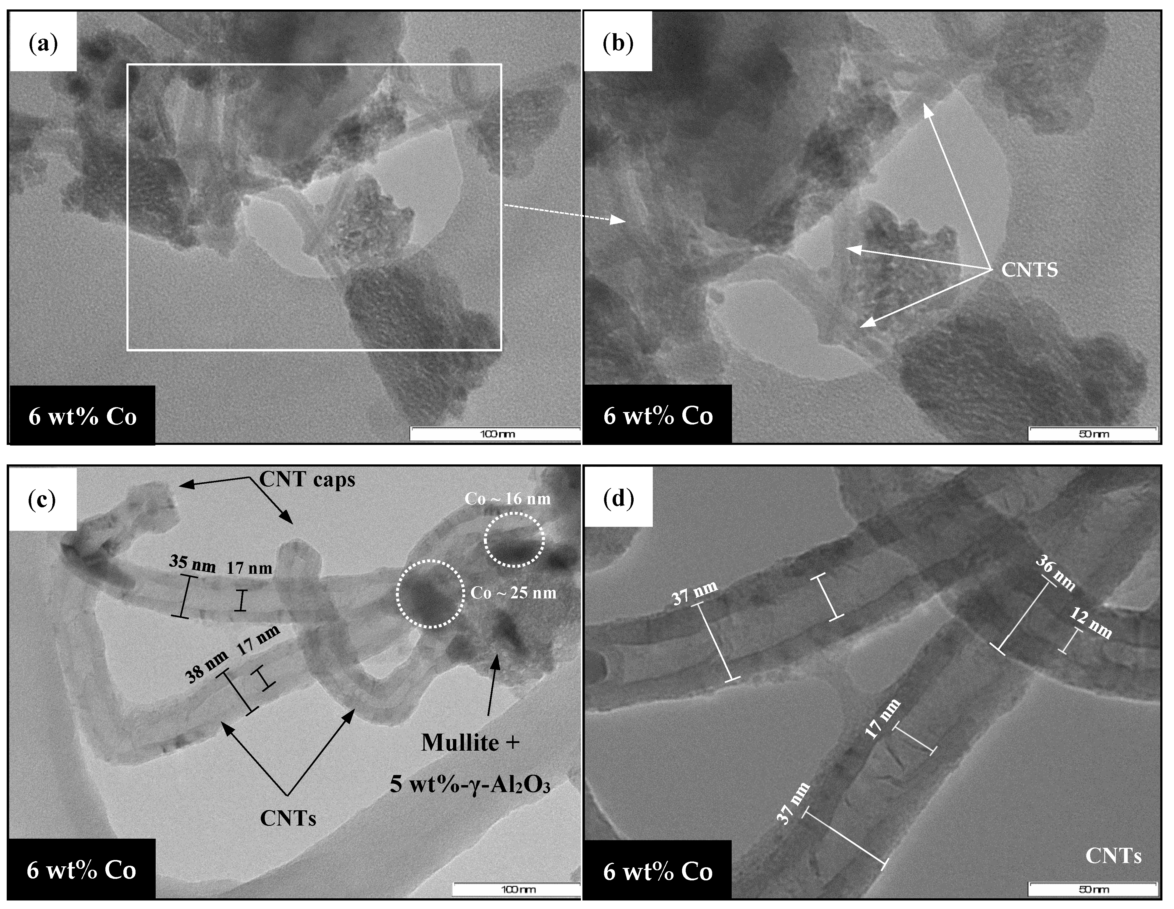 Catalysts 11 01324 g023 550