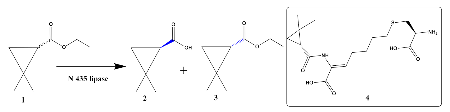 Catalysts 11 01328 sch001 550