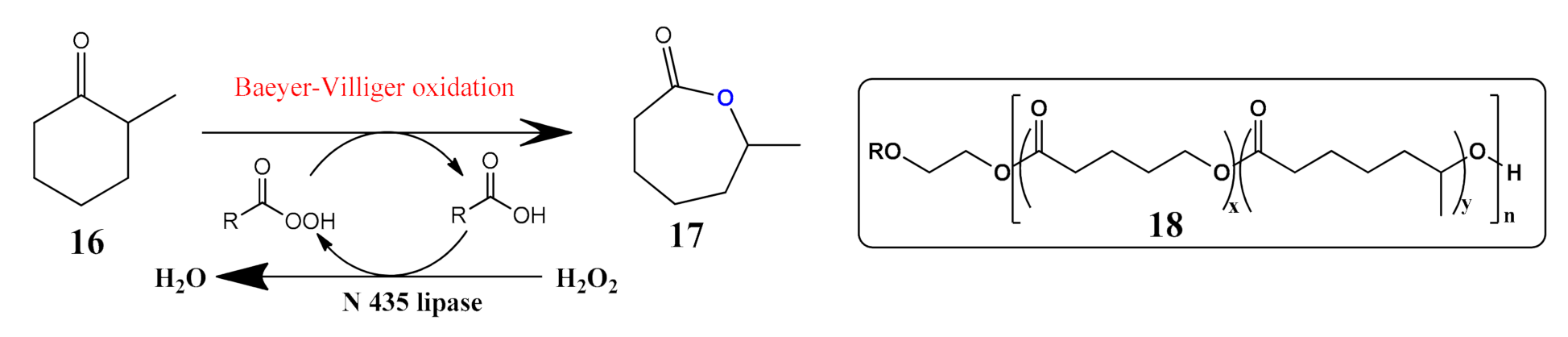 Catalysts 11 01328 sch005 550