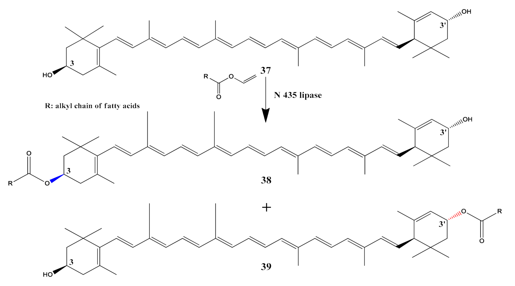 Catalysts 11 01328 sch010 550