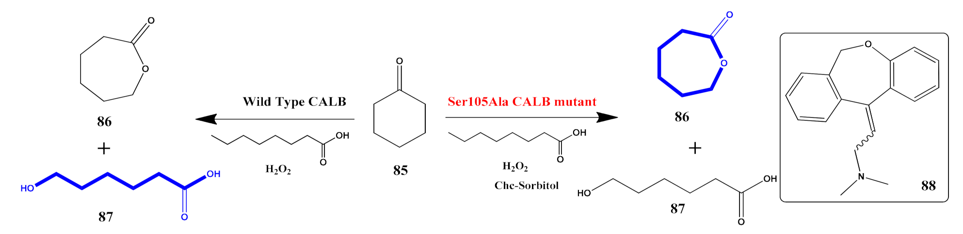 Catalysts 11 01328 sch021 550