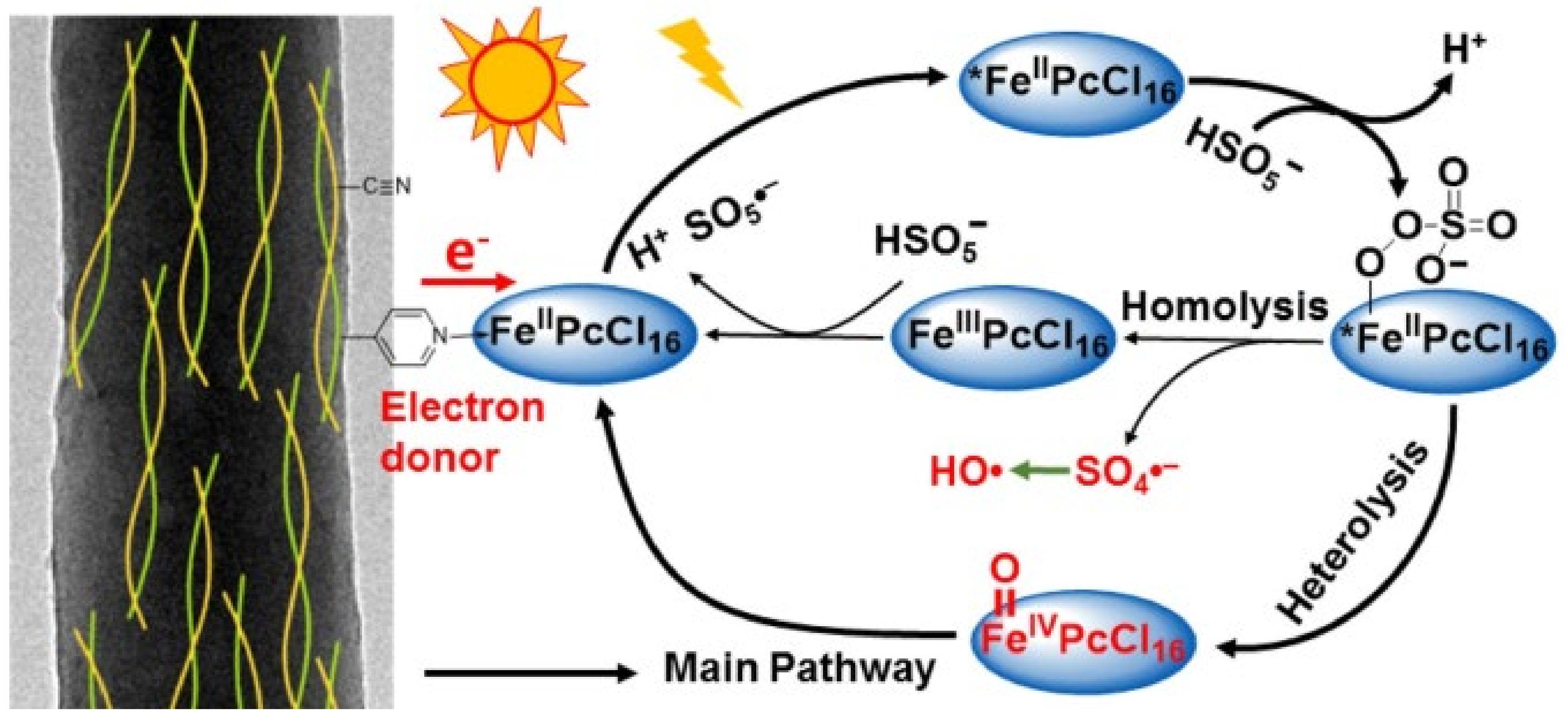 Catalysts 11 01335 g011