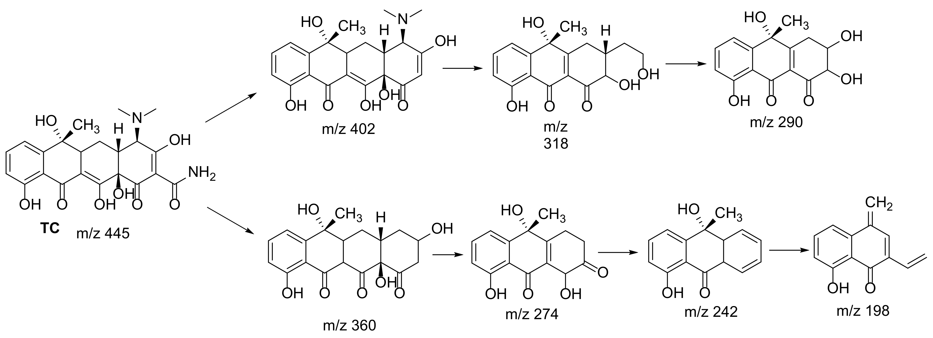 Catalysts 11 01335 sch004