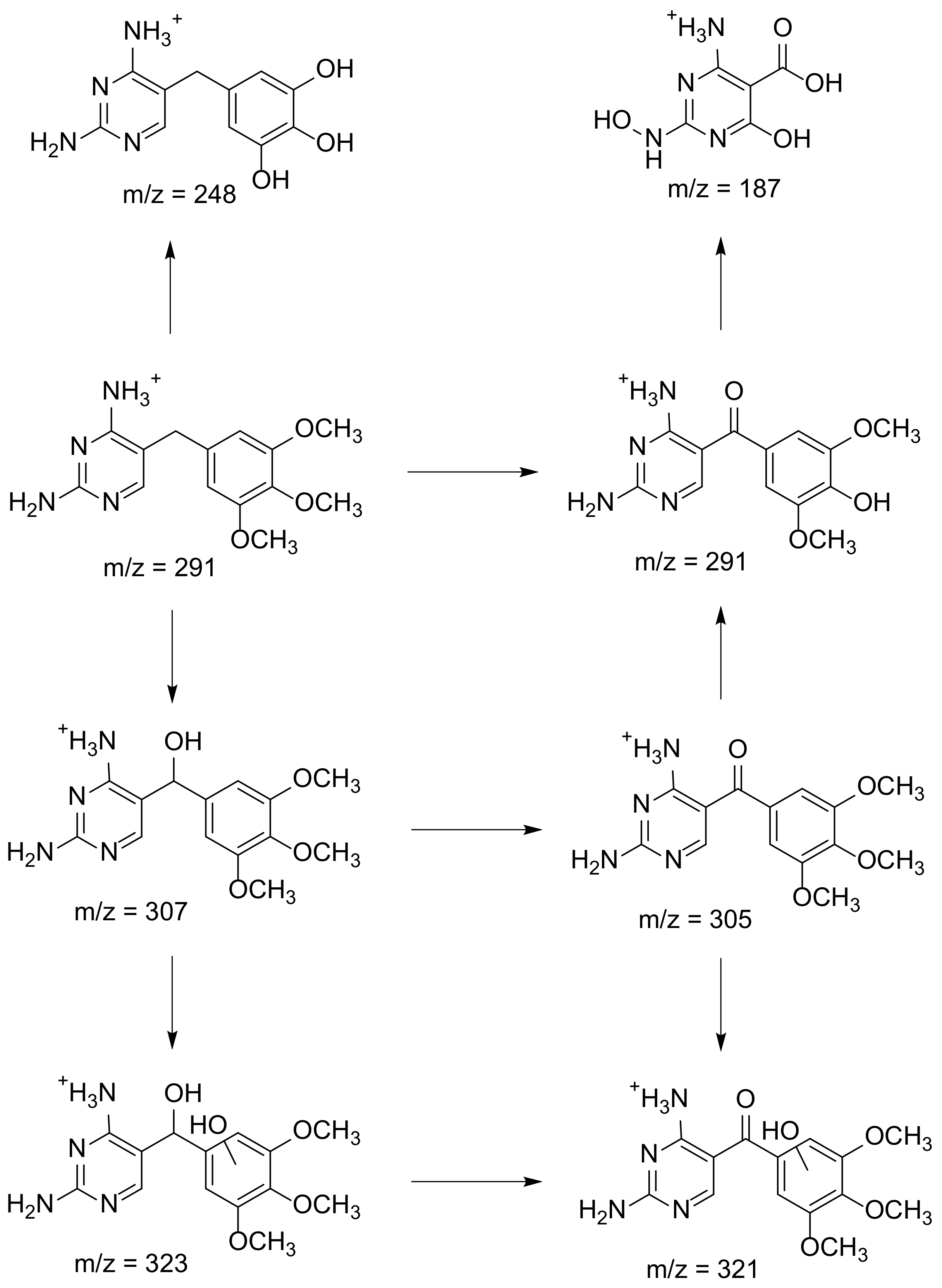 Catalysts 11 01335 sch006