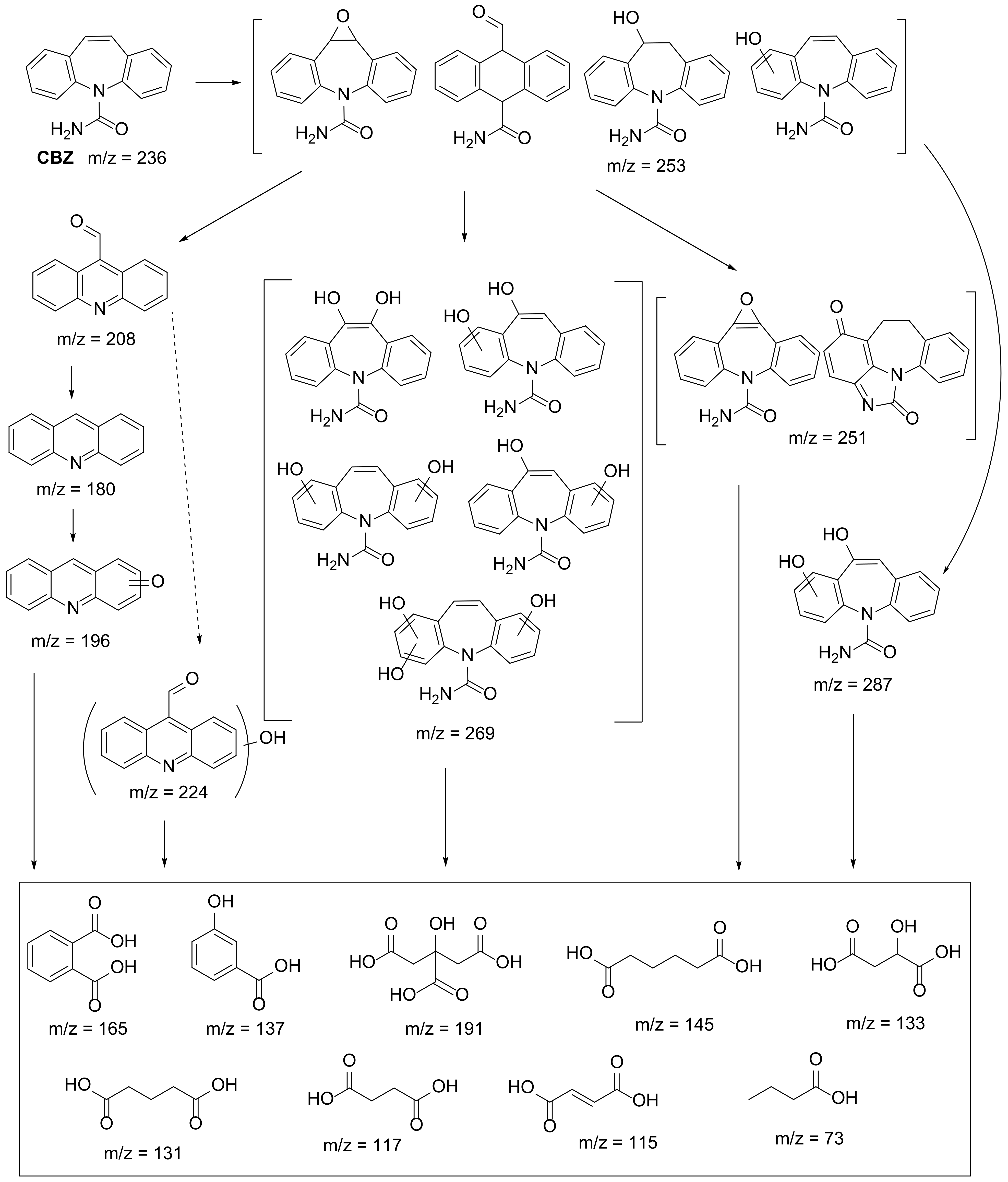 Catalysts 11 01335 sch008