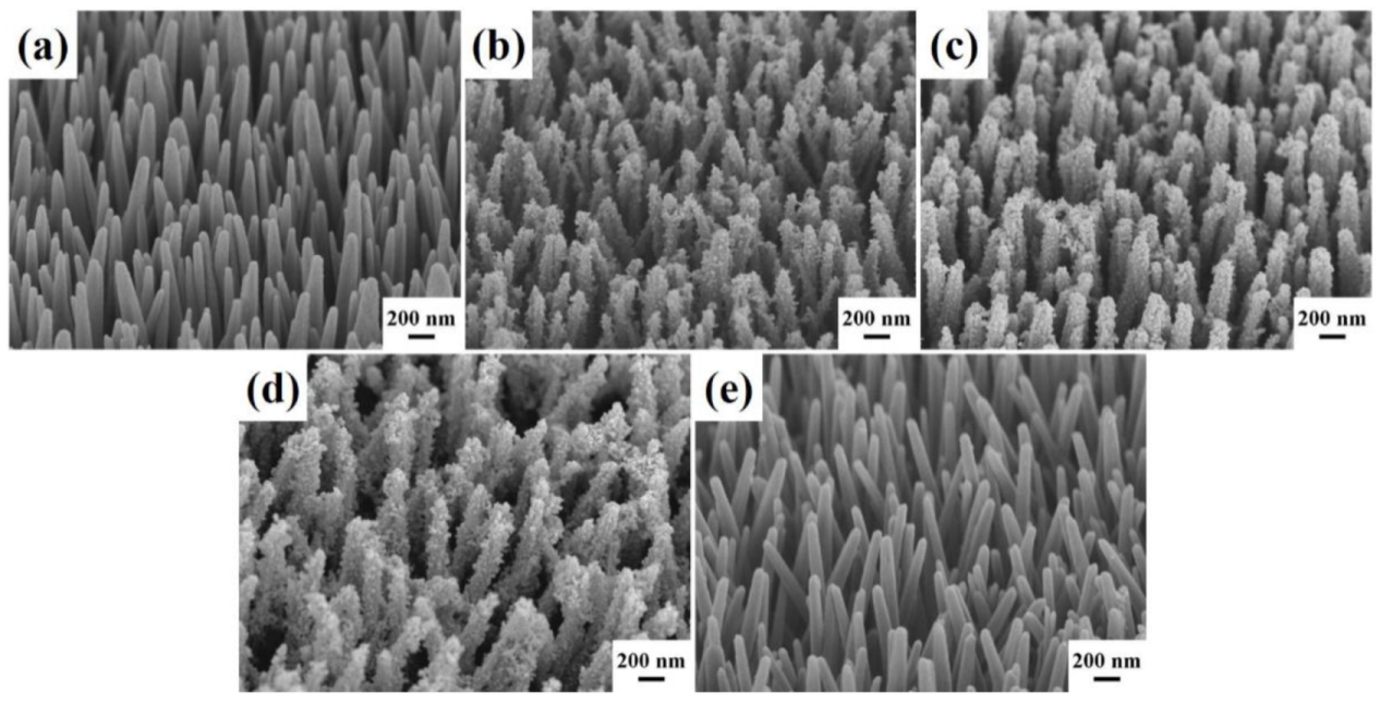 Catalysts 11 01347 g001