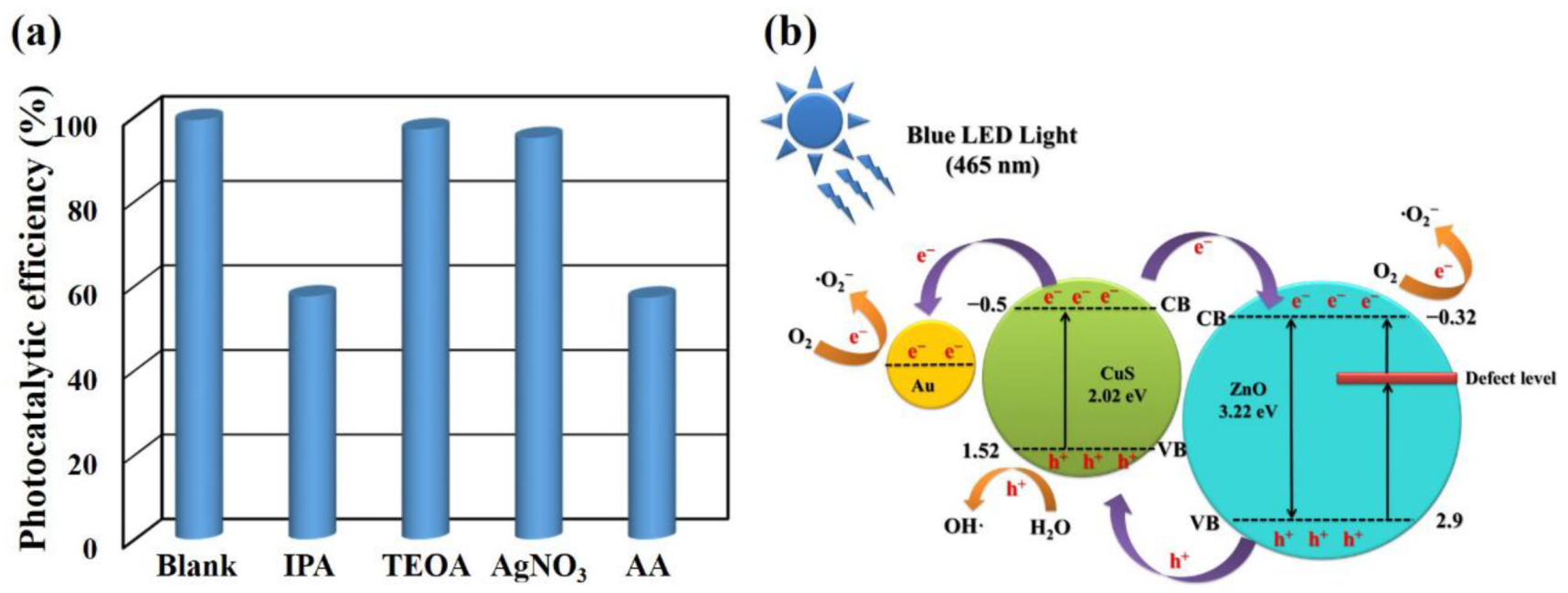 Catalysts 11 01347 g008