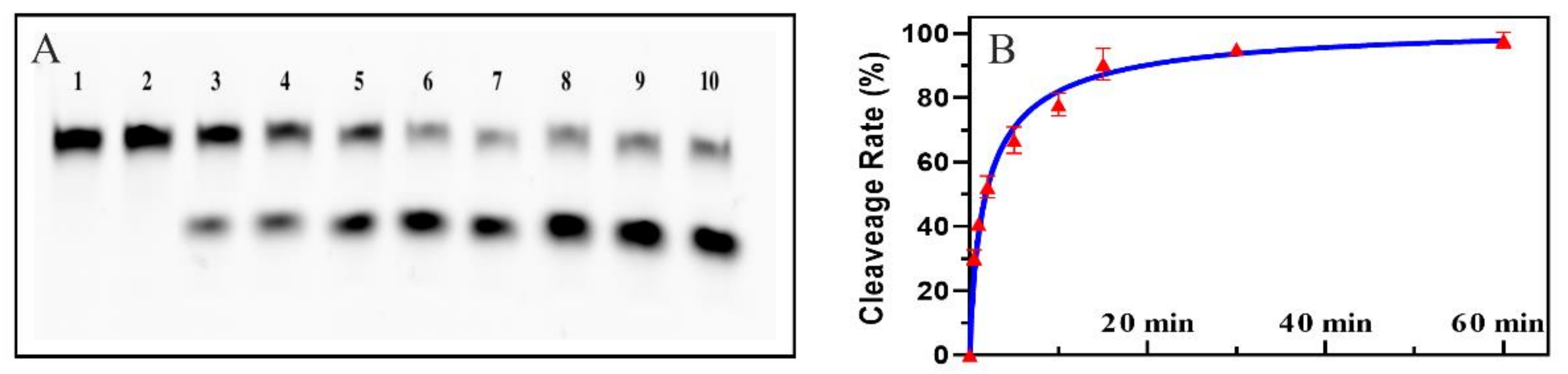 Catalysts 11 01352 g002