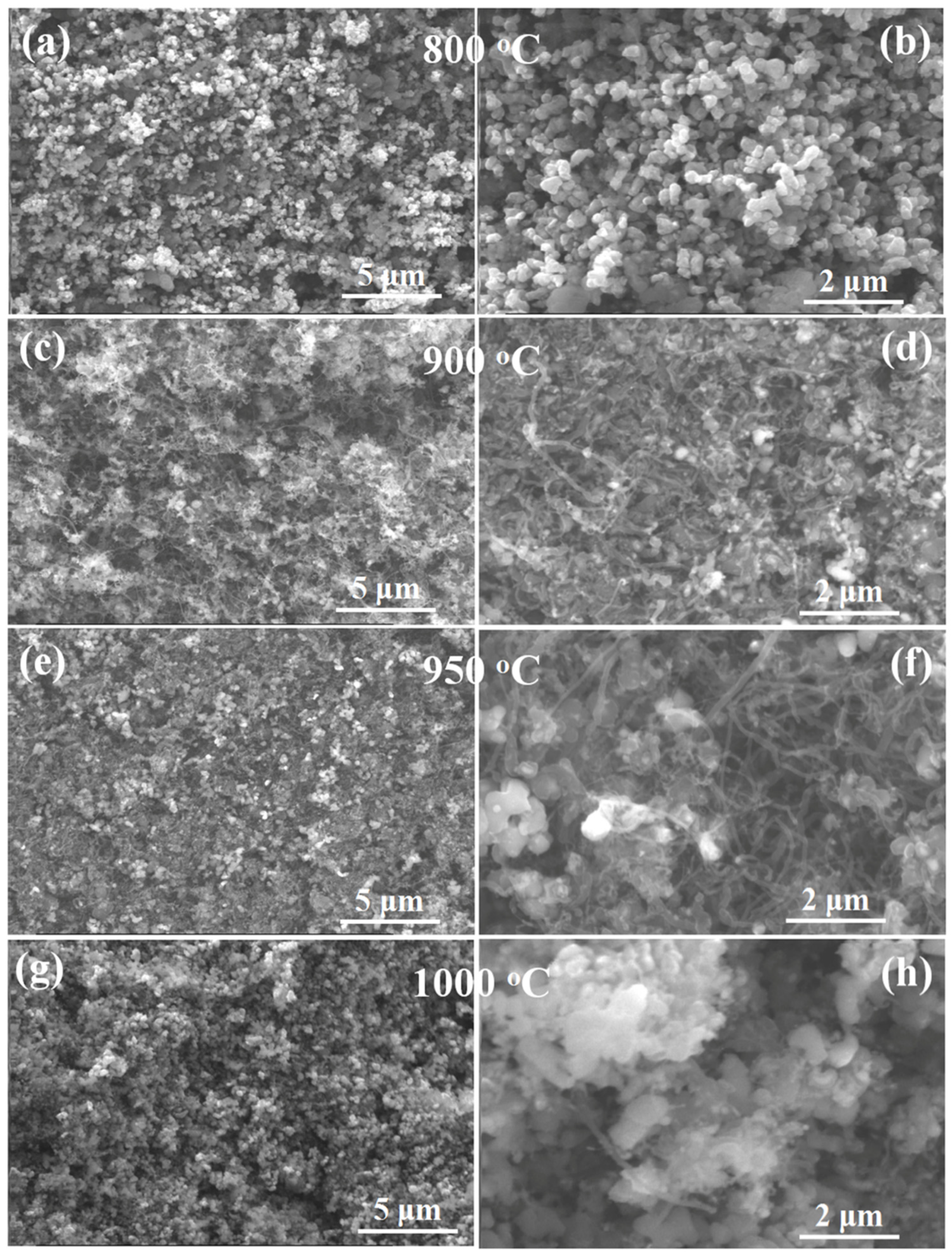 Catalysts 11 01353 g010