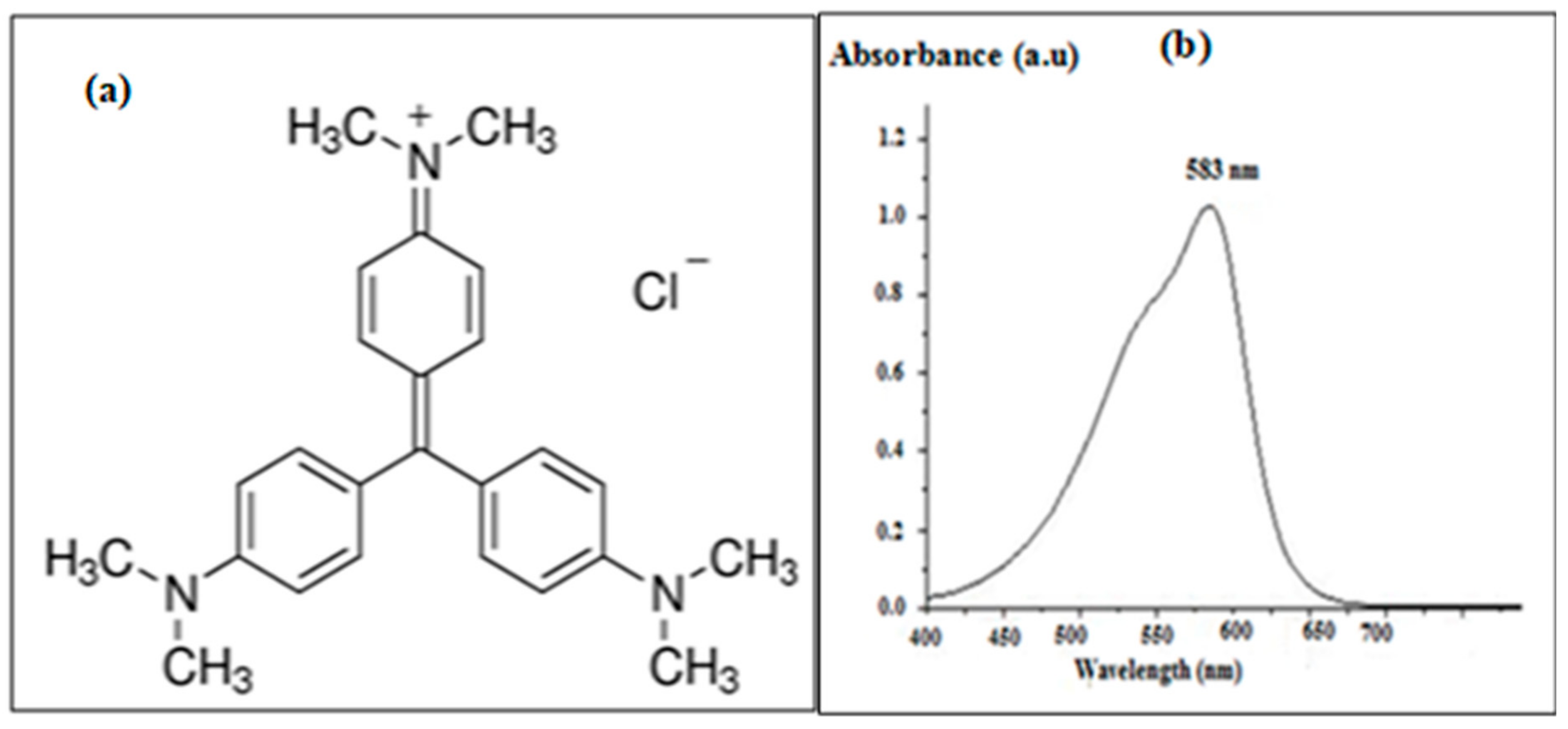 Catalysts 11 01358 g012